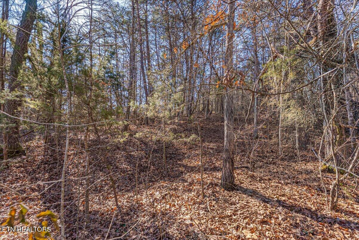 7.36 Acres Panther Creek Road Off Road Sevierville TN 37876