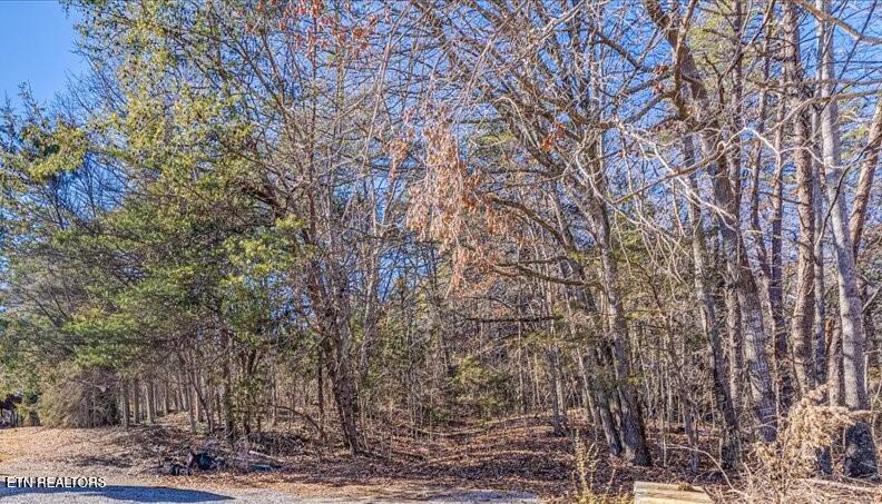 7.36 Acres Panther Creek Road Off Road Sevierville TN 37876