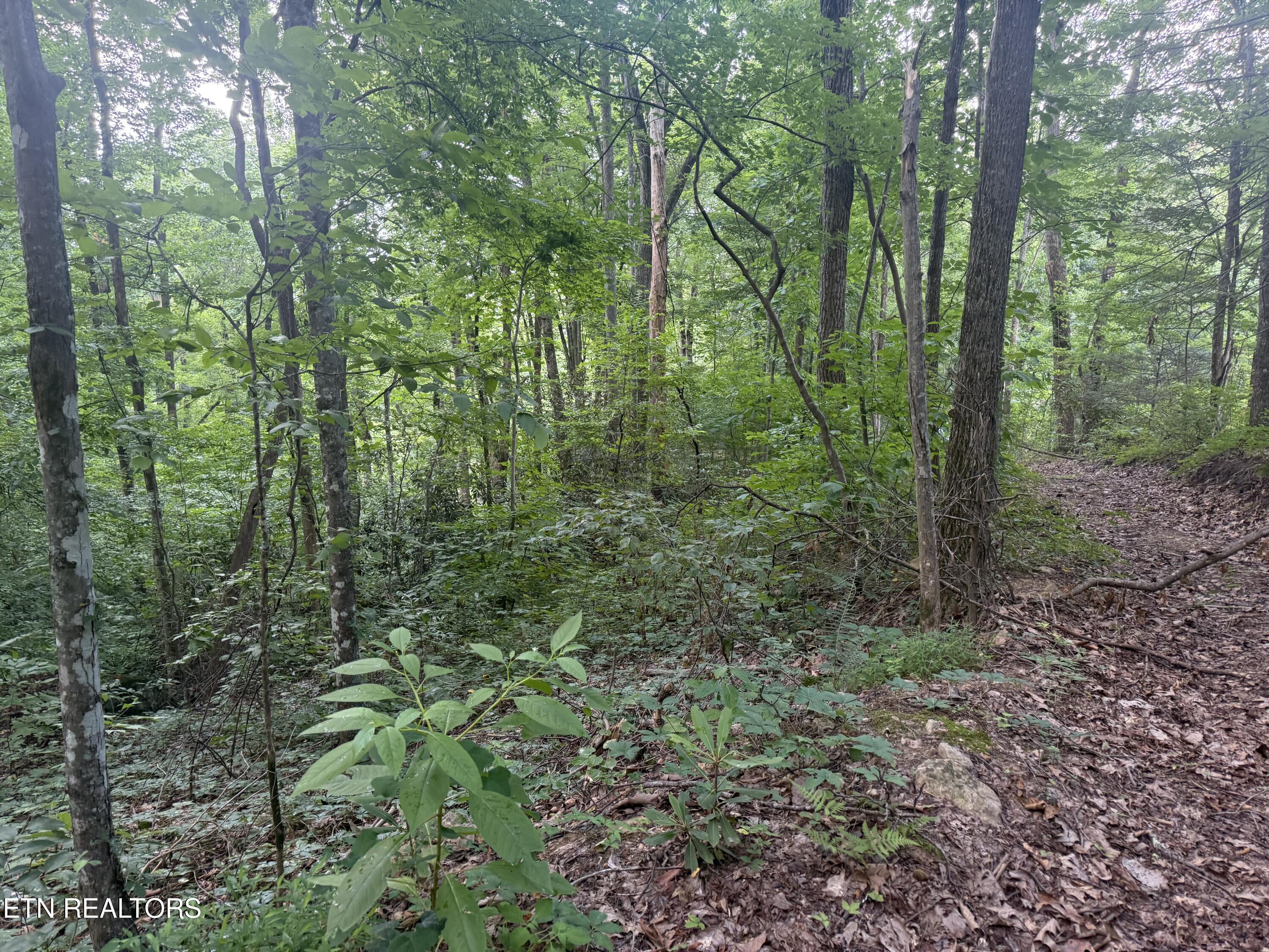 7.36 Acres Panther Creek Road Off Road Sevierville TN 37876