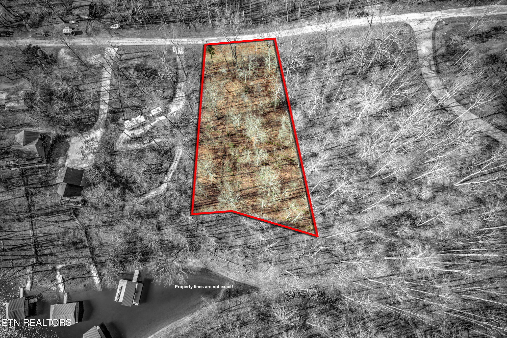 Big Creek Lot 21 Lane Lafollette TN 37766