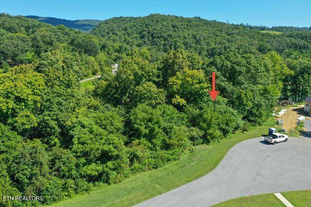 Lot #67 Bayside Boulevard Bean Station TN 37708
