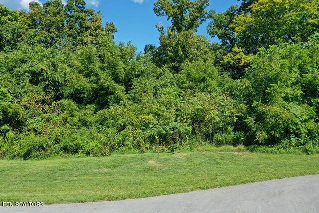 Lot #67 Bayside Boulevard Bean Station TN 37708