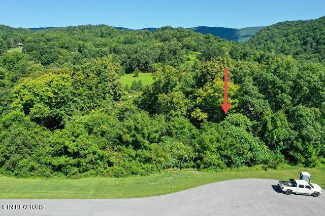 Lot #67 Bayside Boulevard Bean Station TN 37708