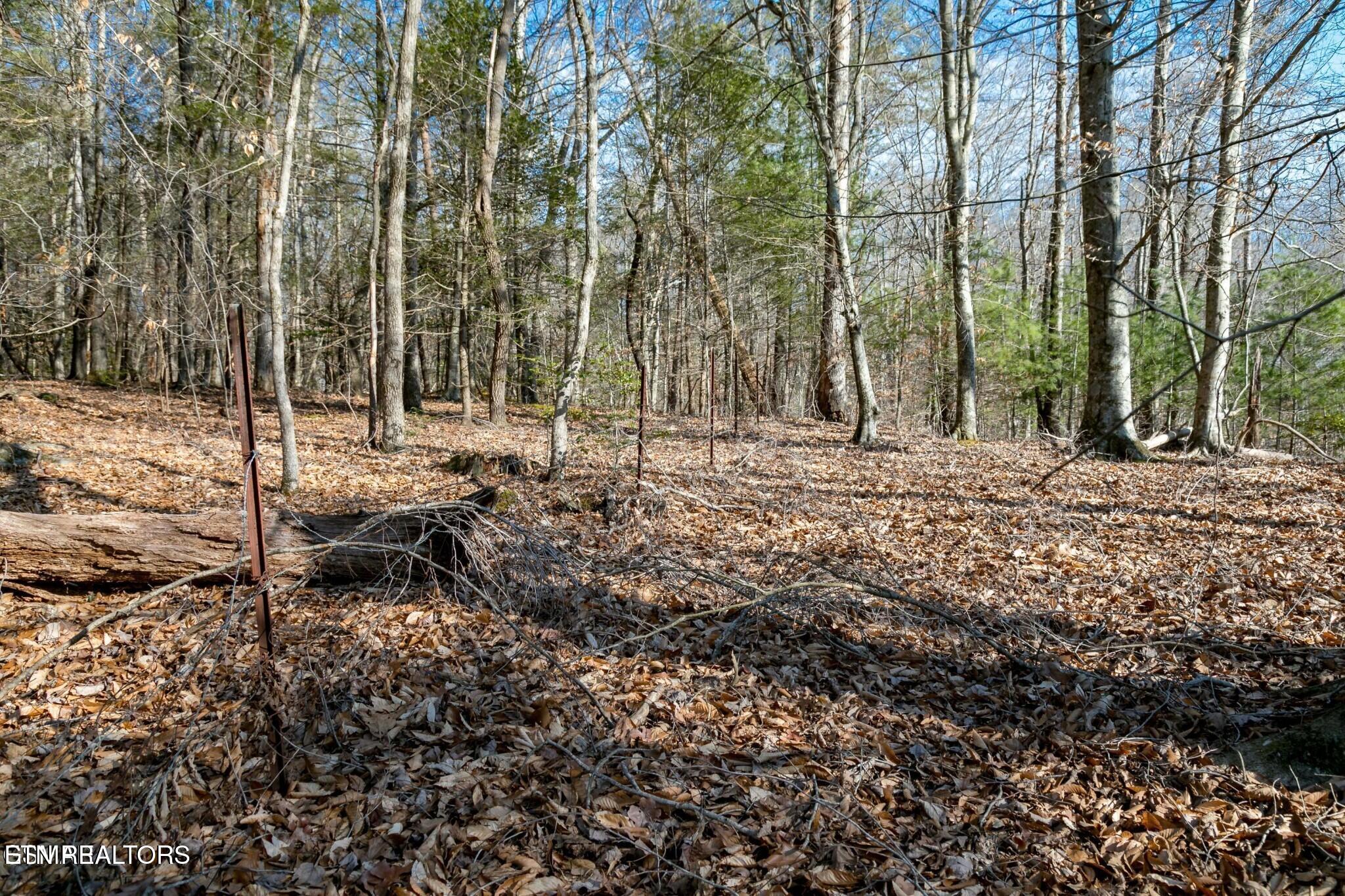 Lot 10 Tarwater Lane Sevierville TN 37862