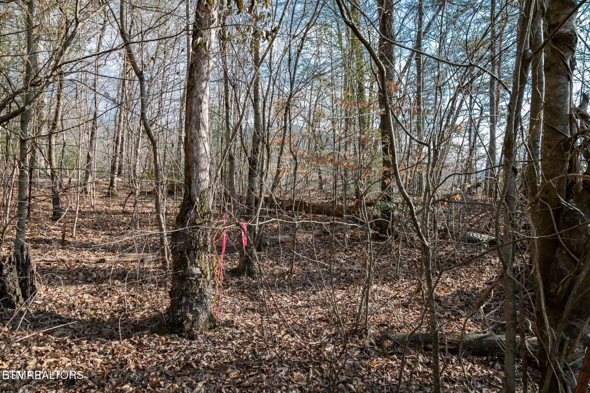 Lot 10 Tarwater Lane Sevierville TN 37862