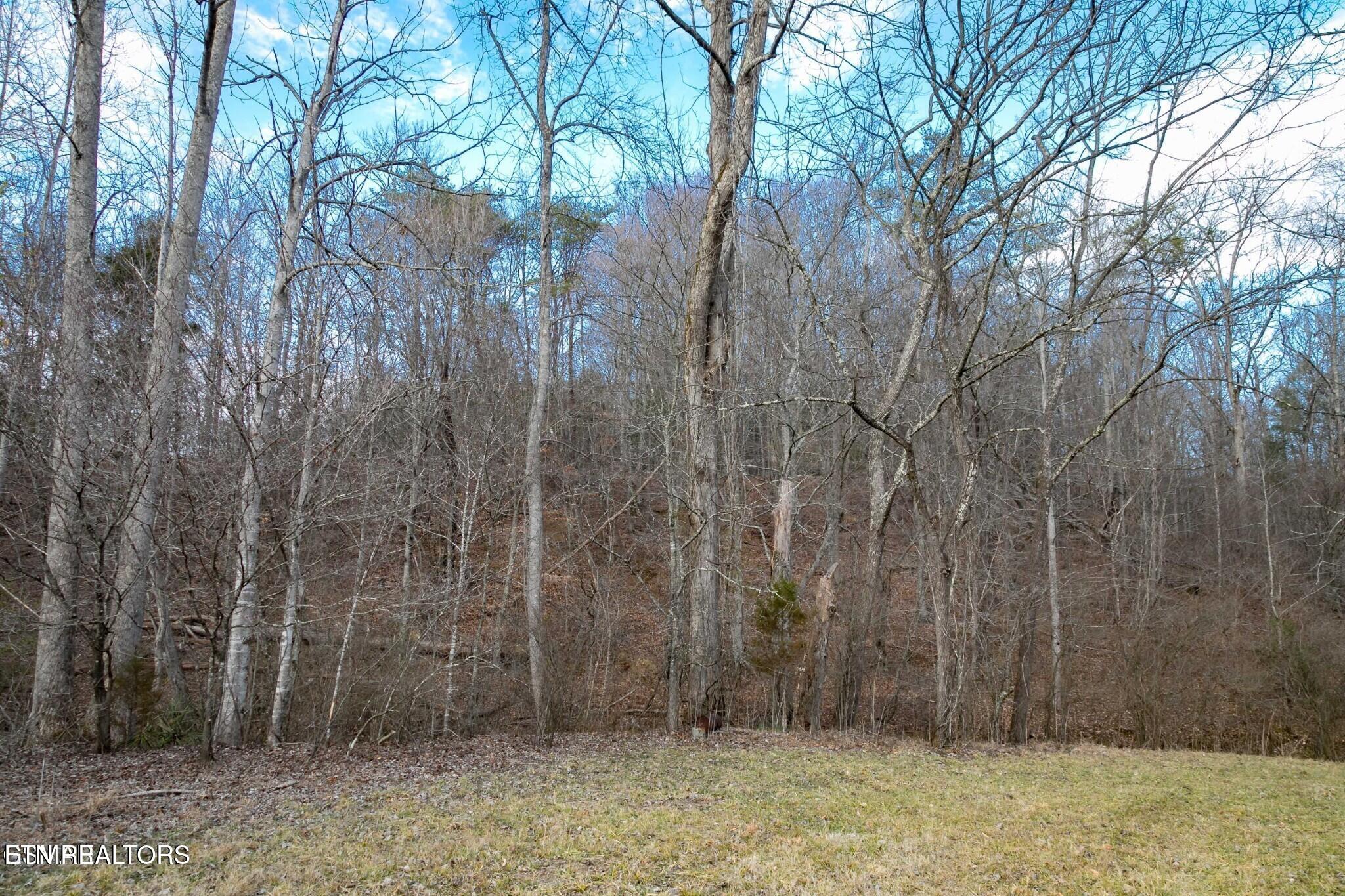 Lot 10 Tarwater Lane Sevierville TN 37862