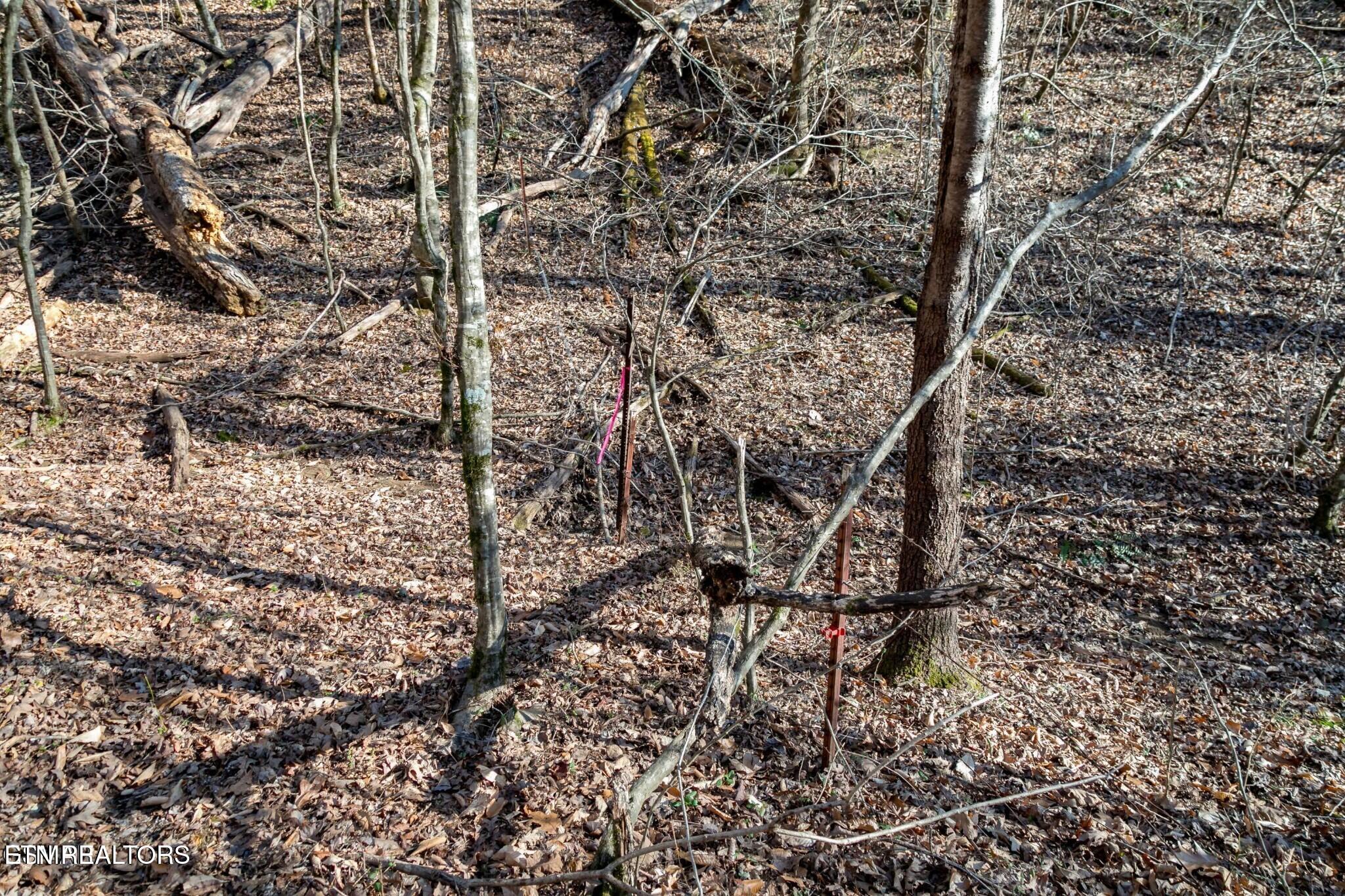 Lot 10 Tarwater Lane Sevierville TN 37862