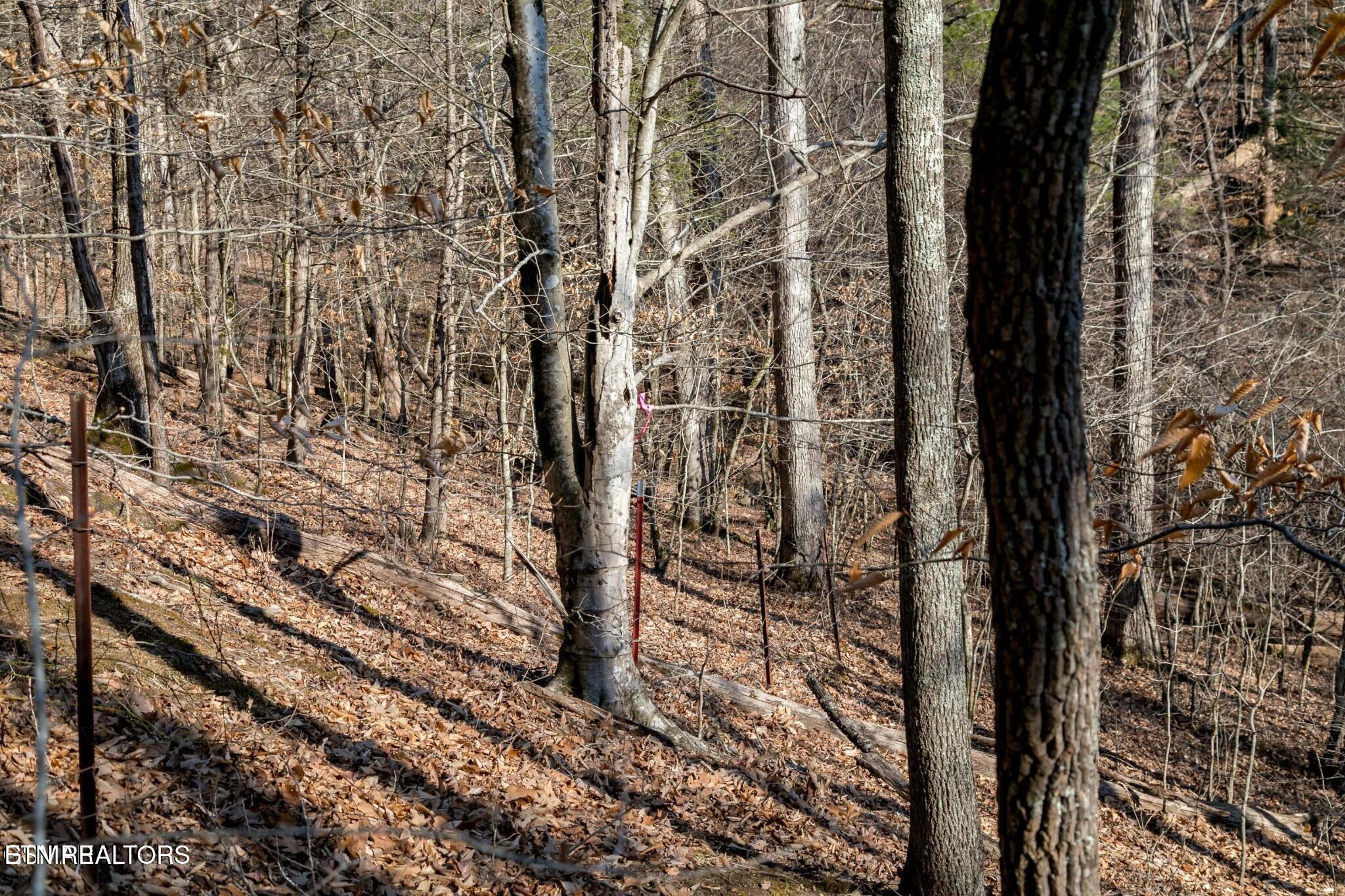 Lot 10 Tarwater Lane Sevierville TN 37862