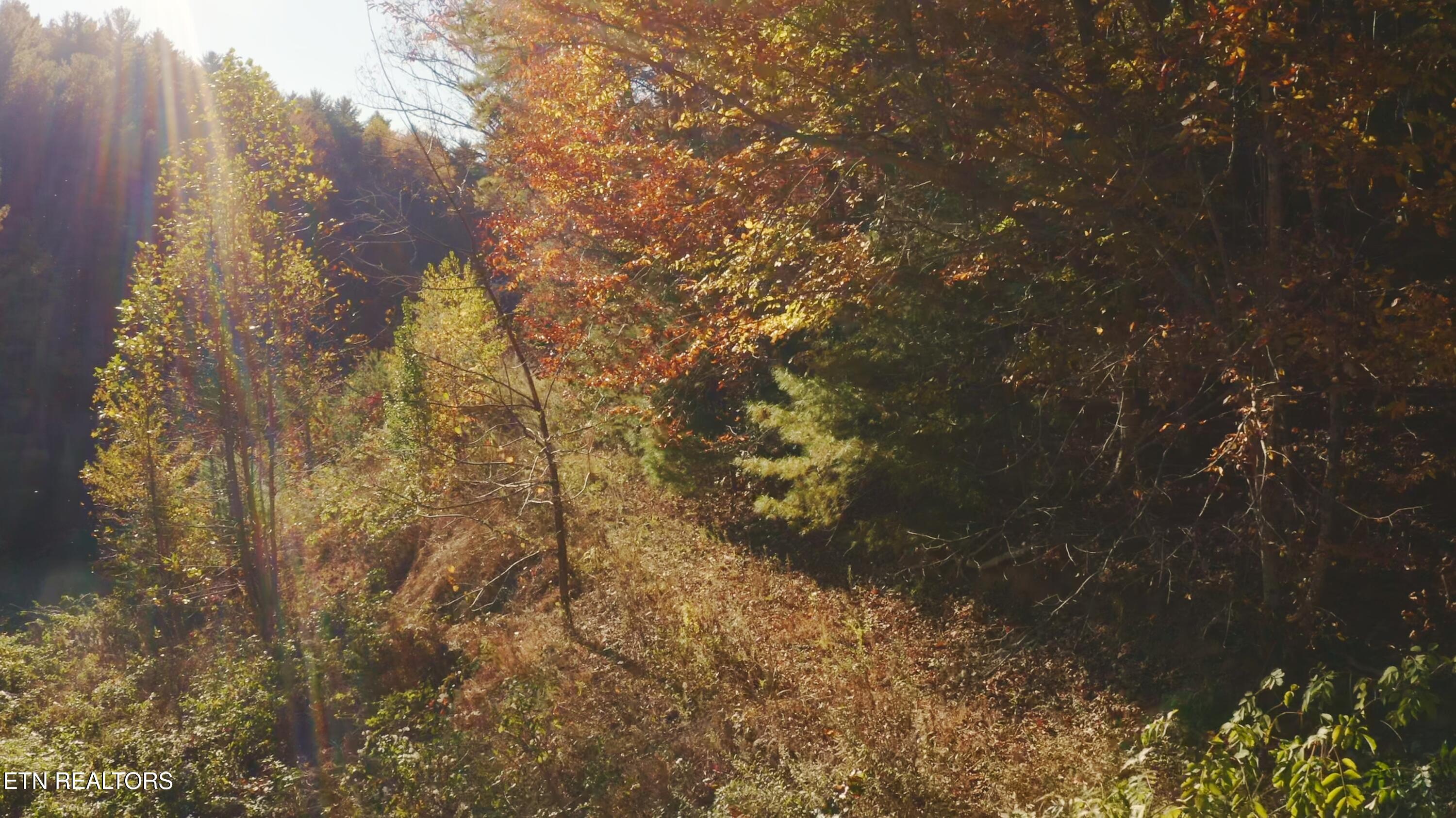410 Seay Hollow Road Del Rio TN 37727
