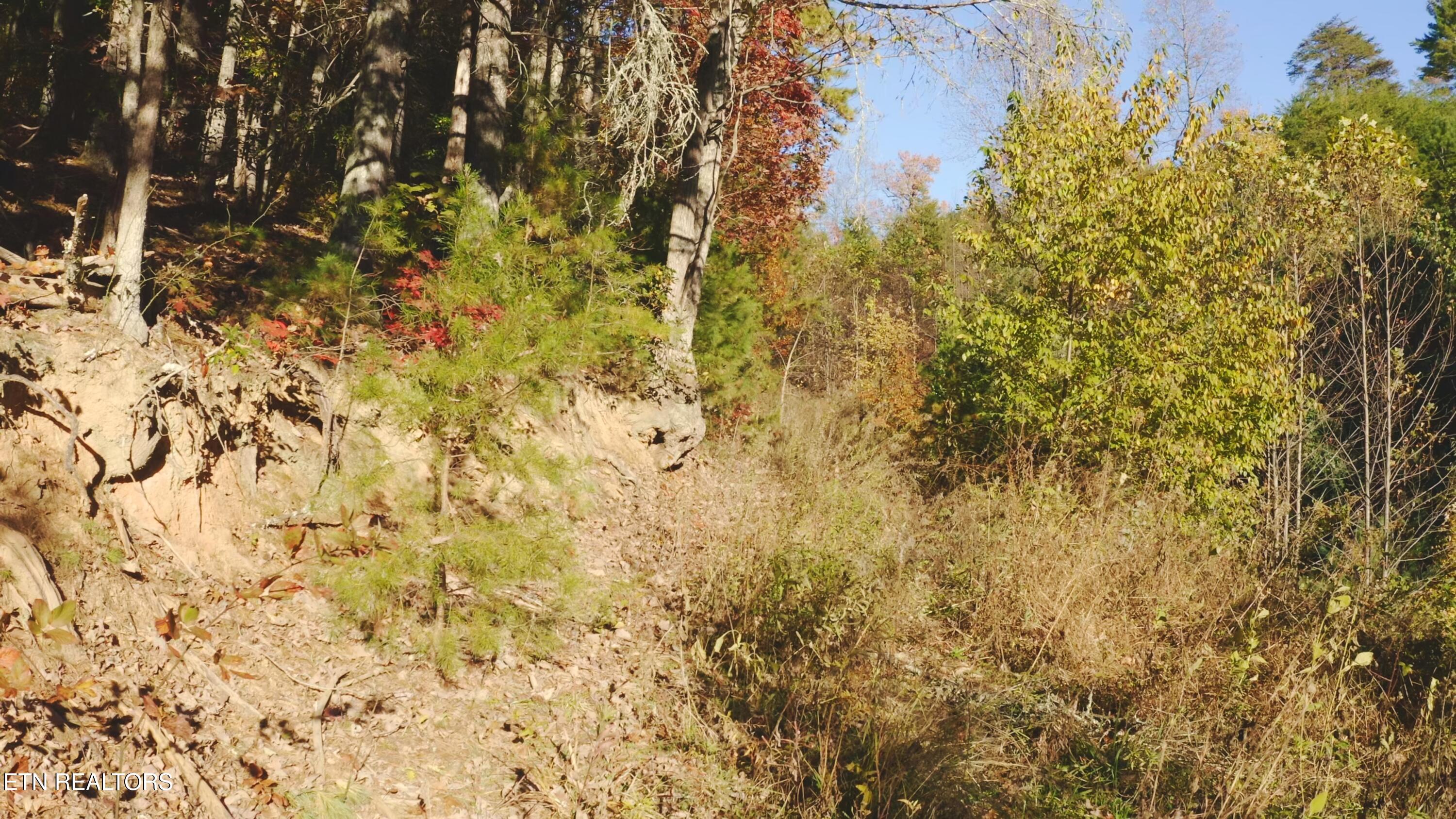 410 Seay Hollow Road Del Rio TN 37727
