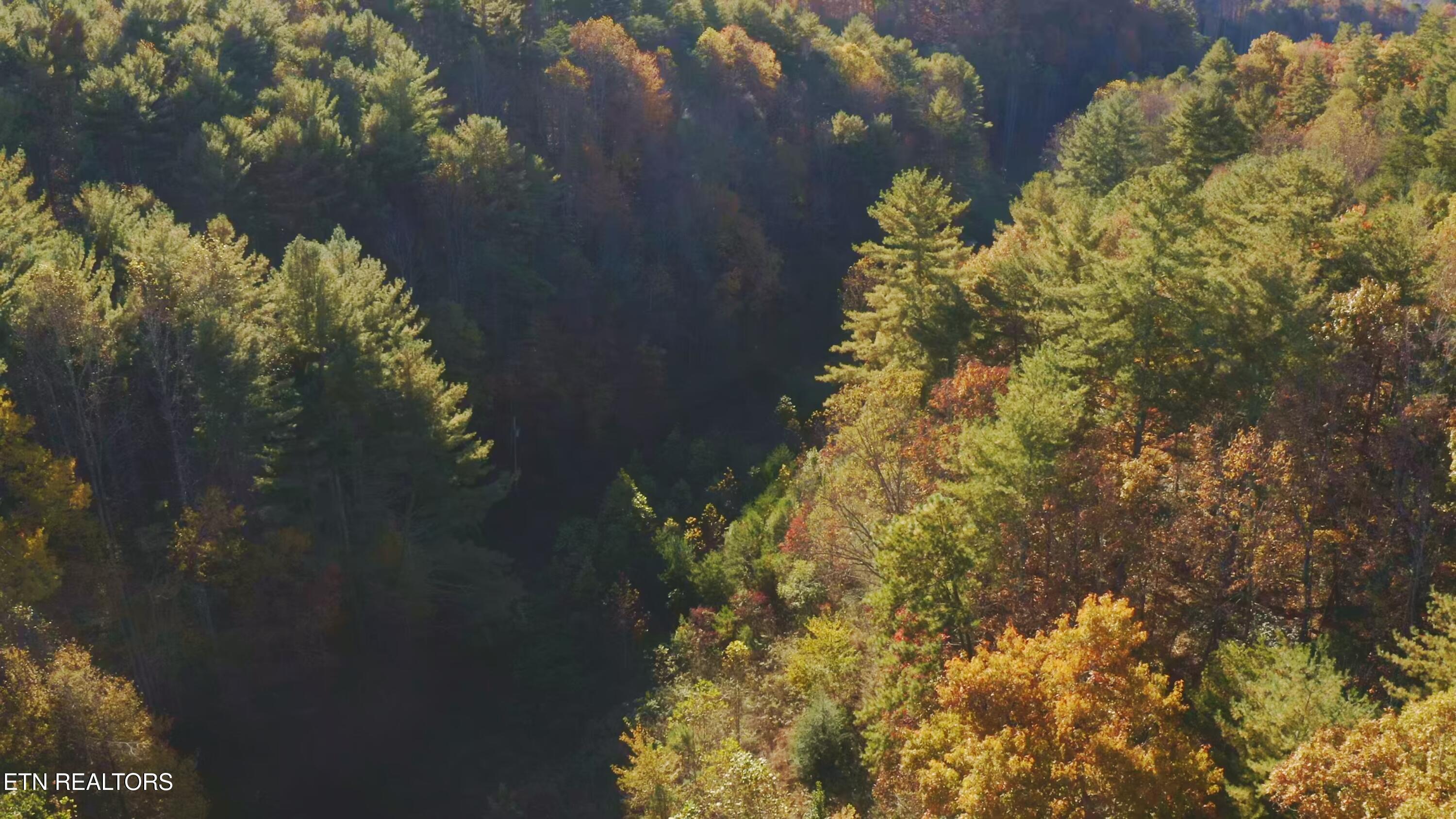 410 Seay Hollow Road Del Rio TN 37727