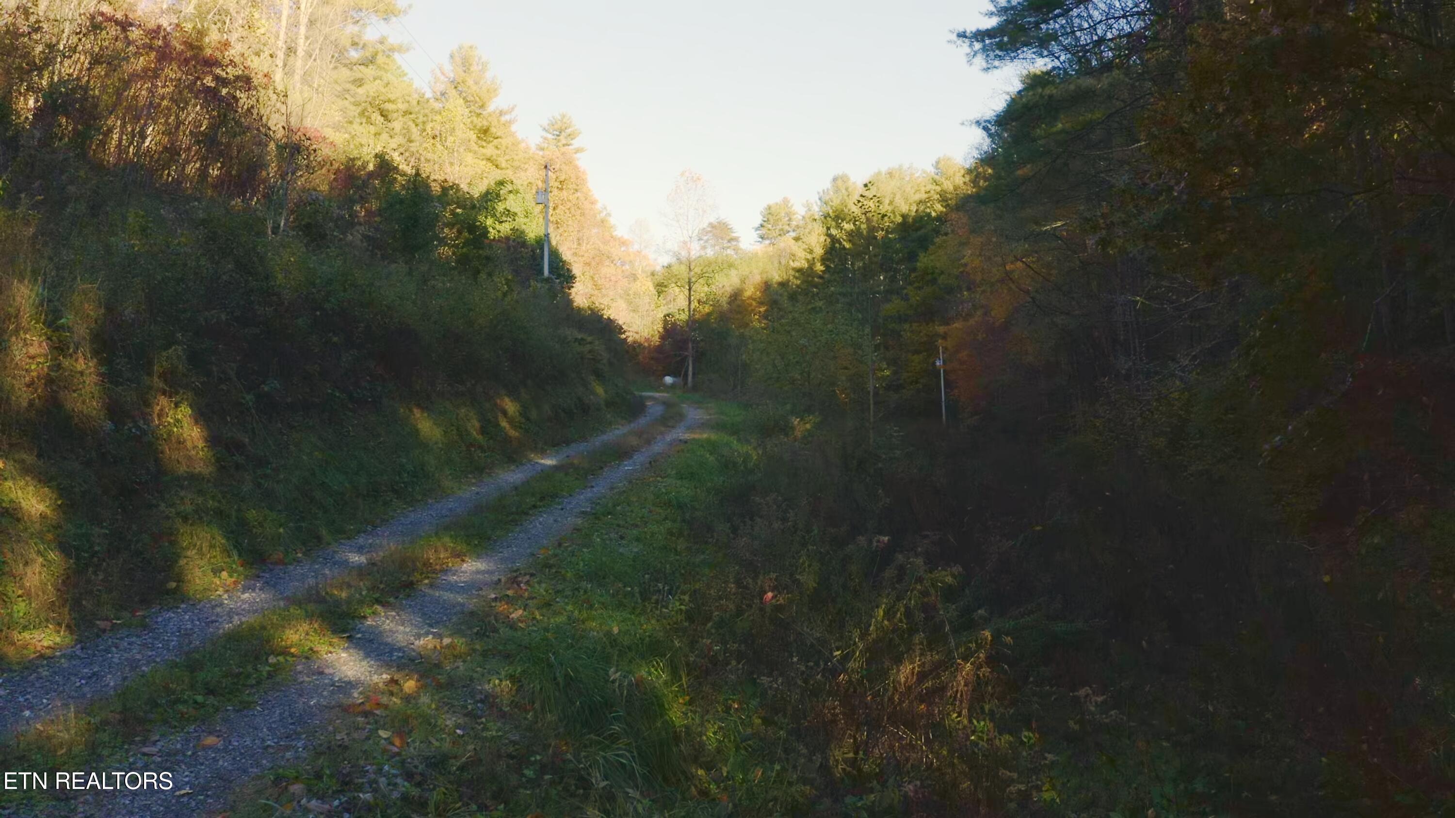 410 Seay Hollow Road Del Rio TN 37727