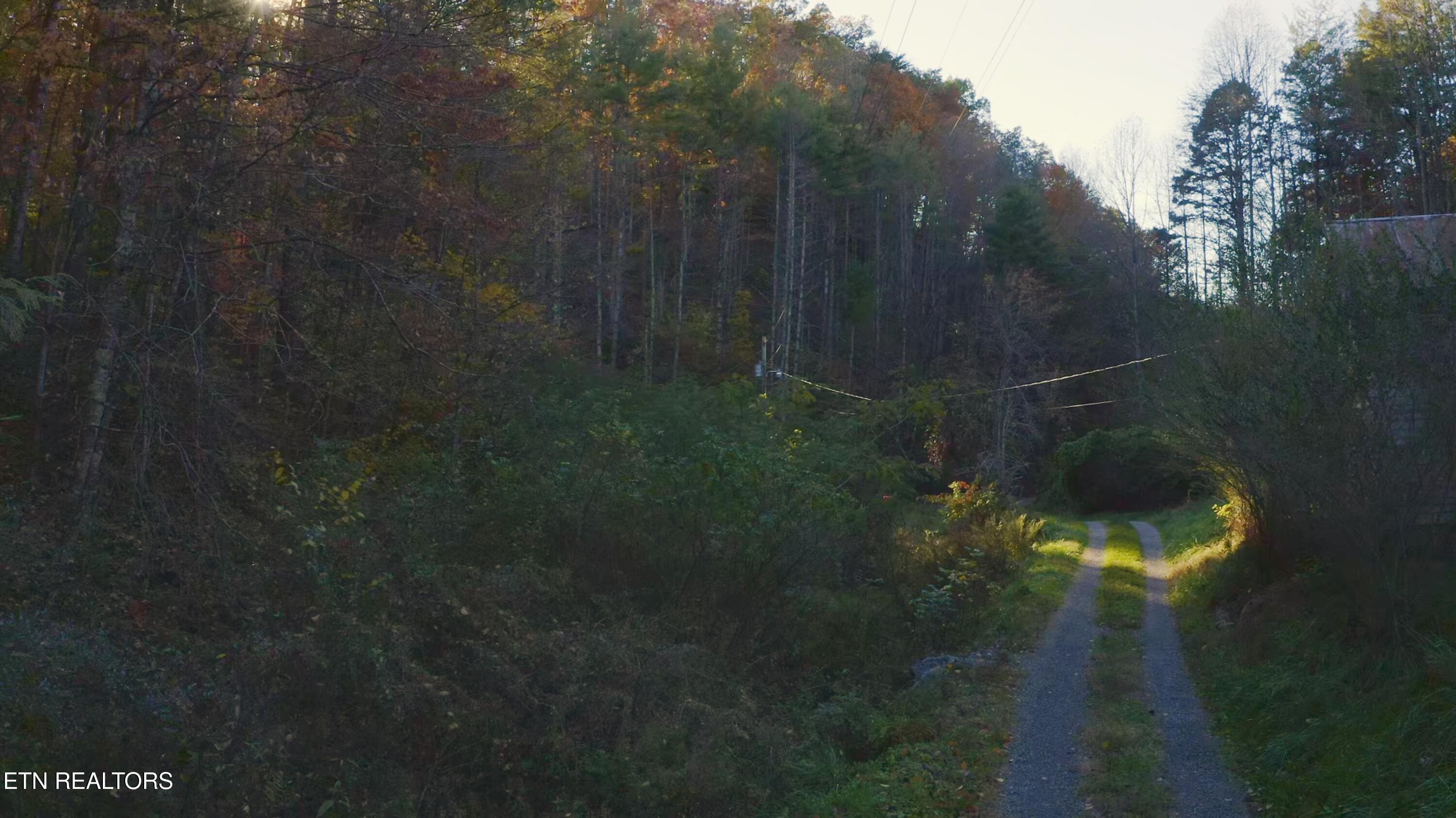 410 Seay Hollow Road Del Rio TN 37727