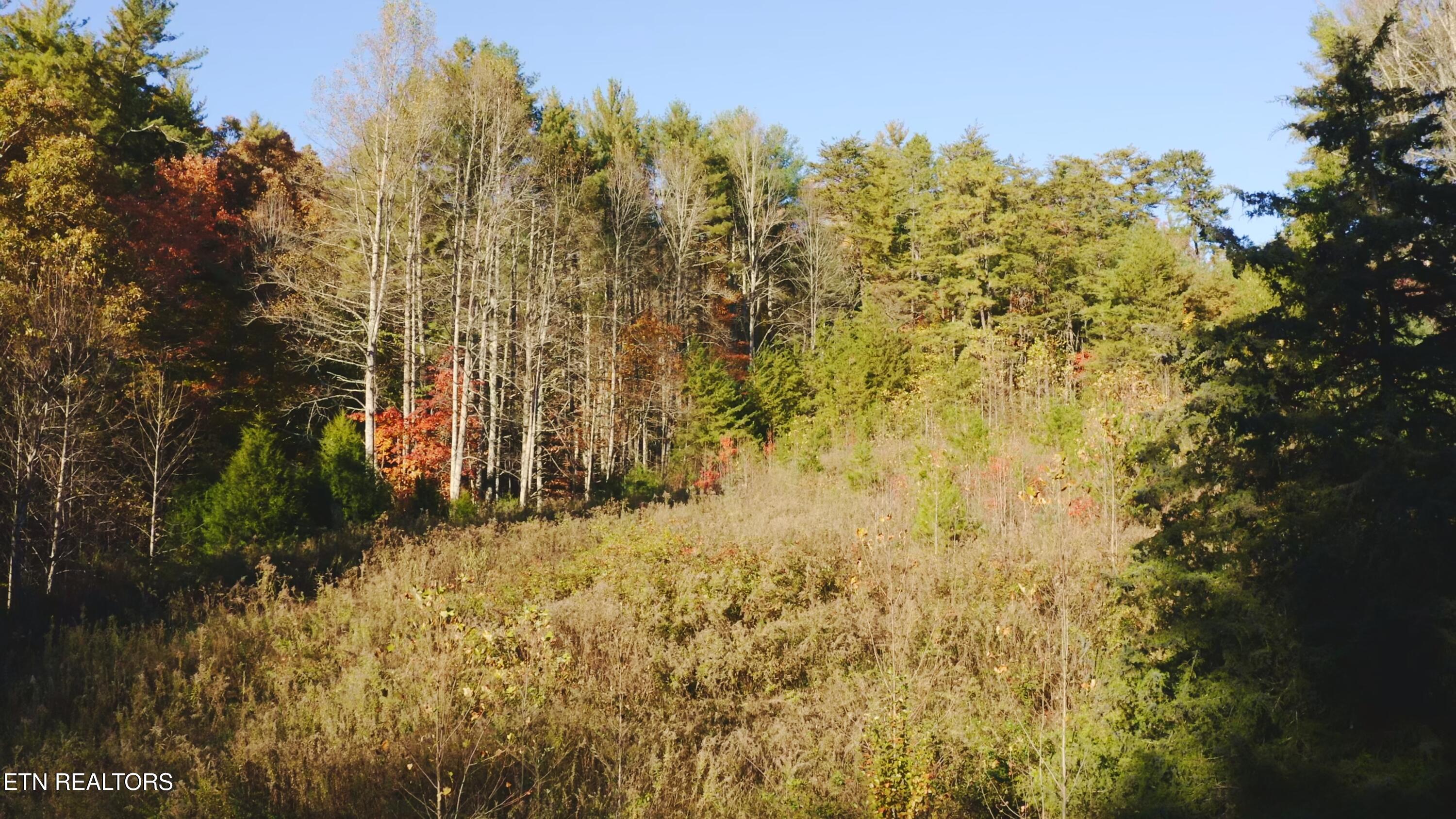 410 Seay Hollow Road Del Rio TN 37727