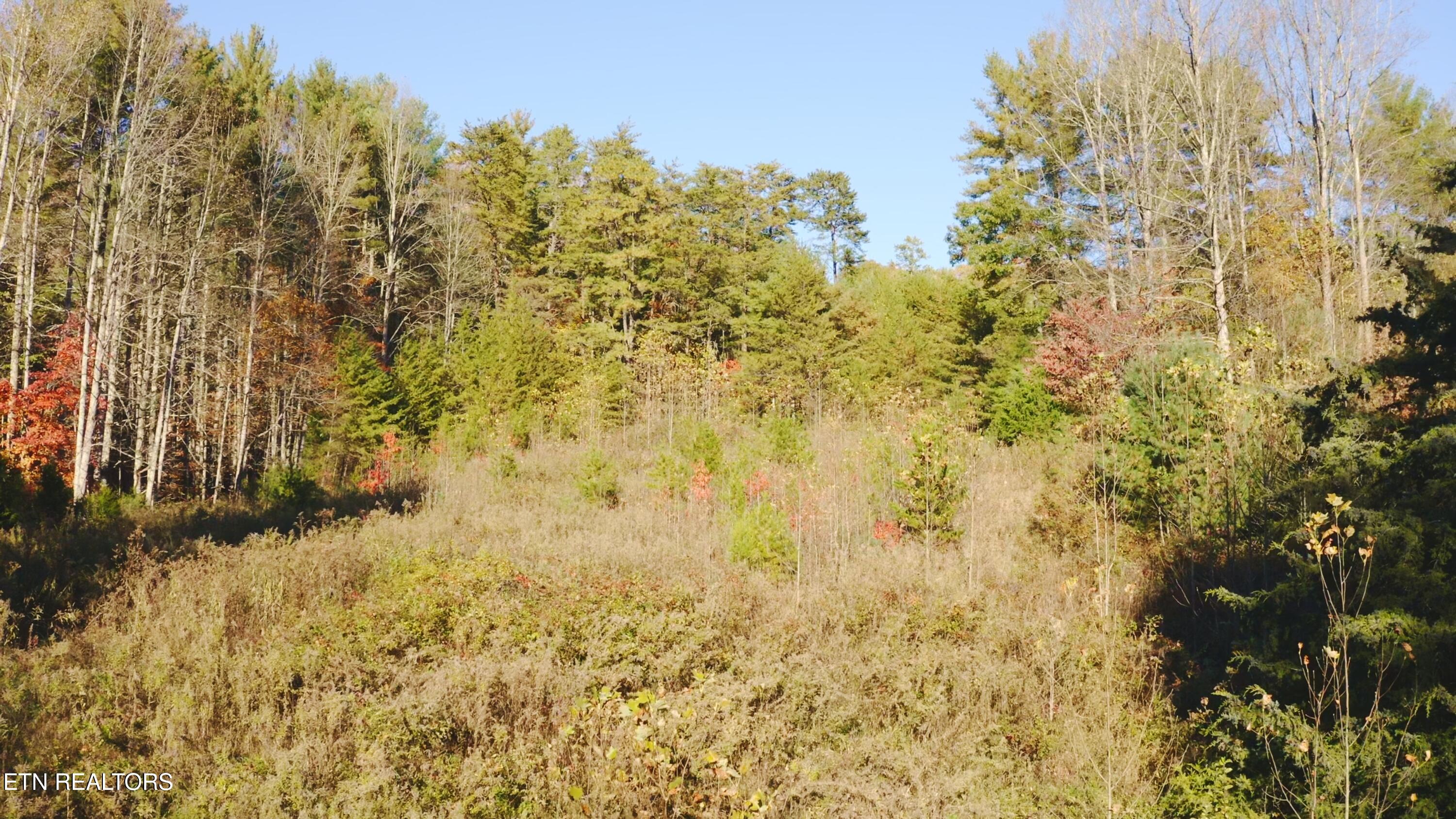 410 Seay Hollow Road Del Rio TN 37727