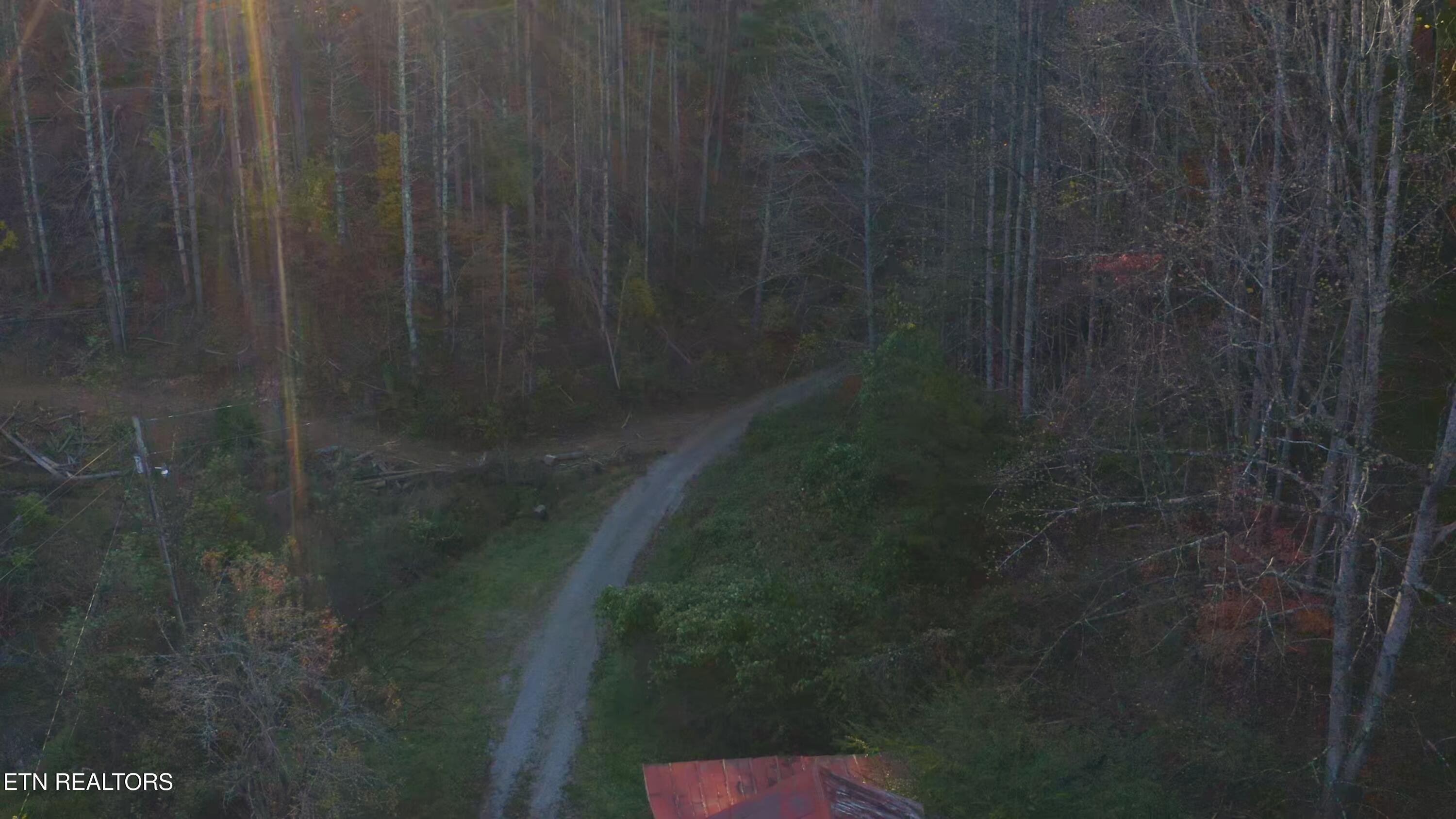 410 Seay Hollow Road Del Rio TN 37727