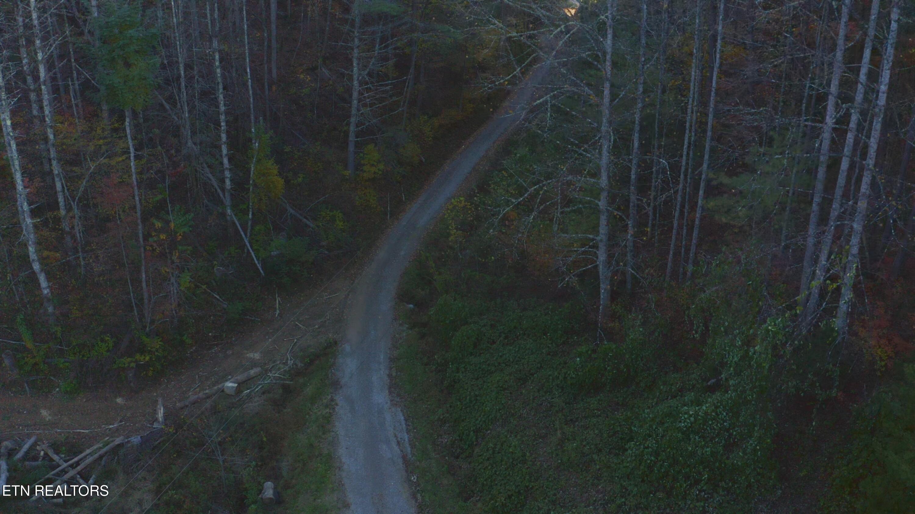 410 Seay Hollow Road Del Rio TN 37727