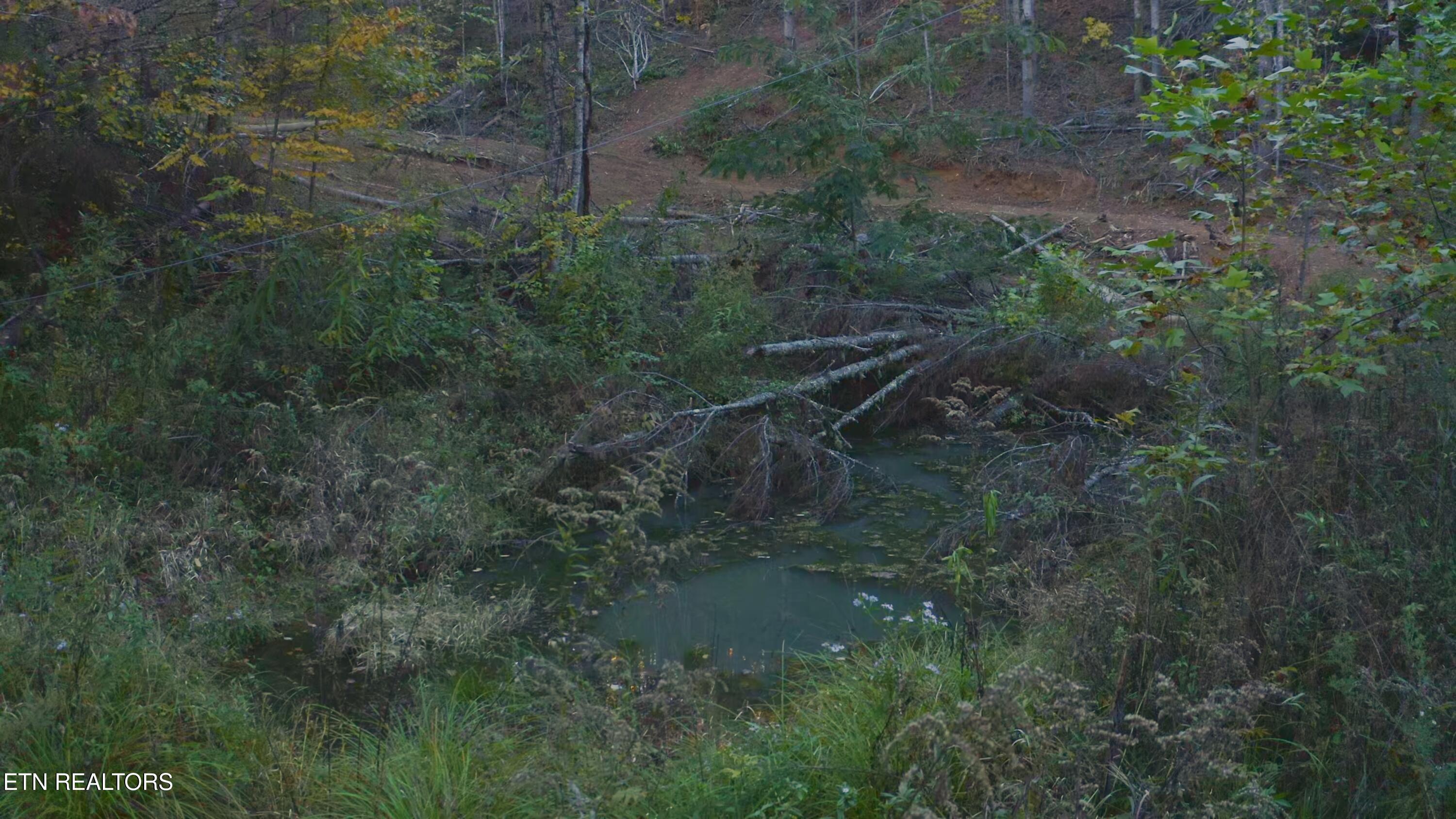 410 Seay Hollow Road Del Rio TN 37727