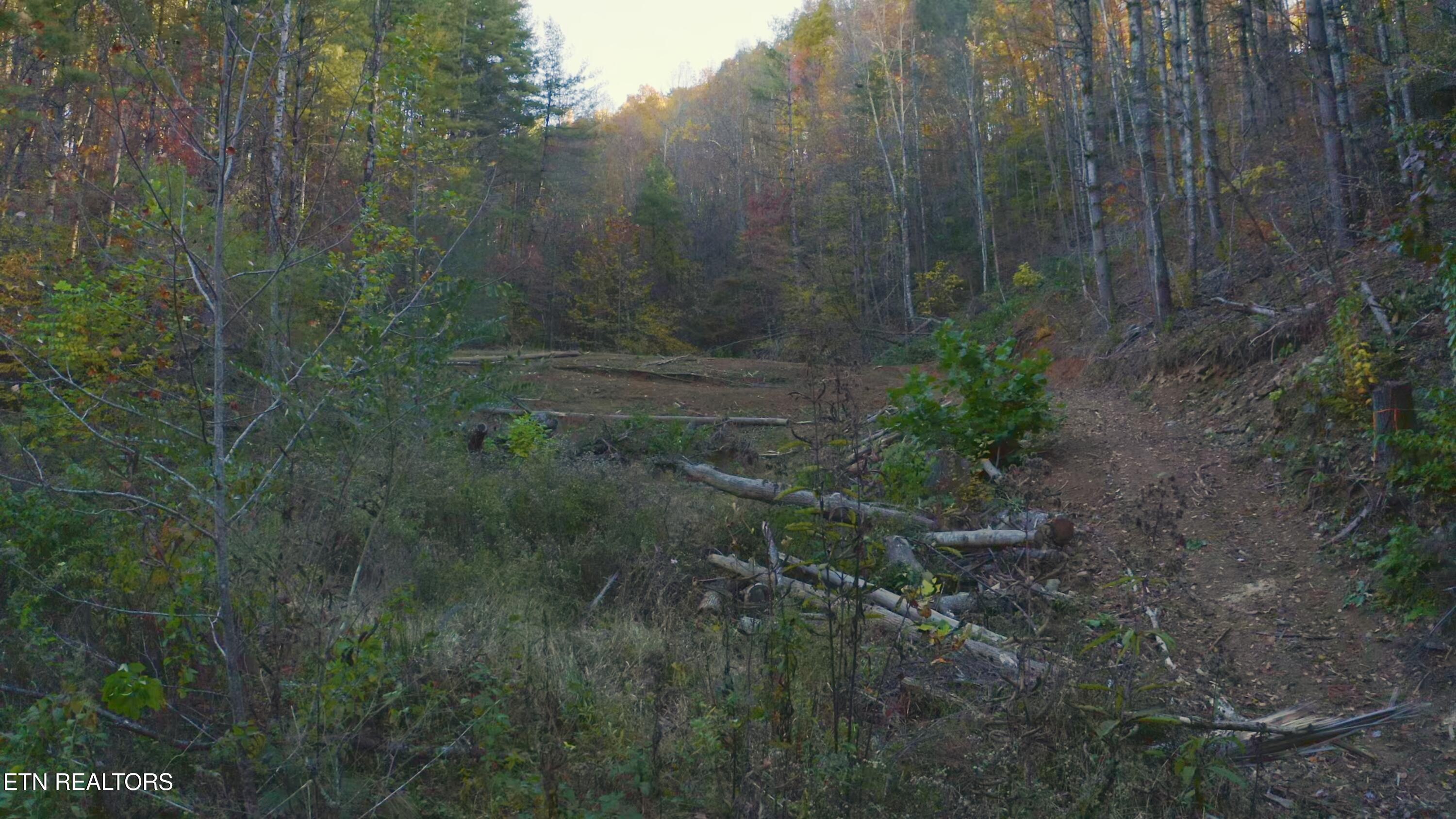 410 Seay Hollow Road Del Rio TN 37727