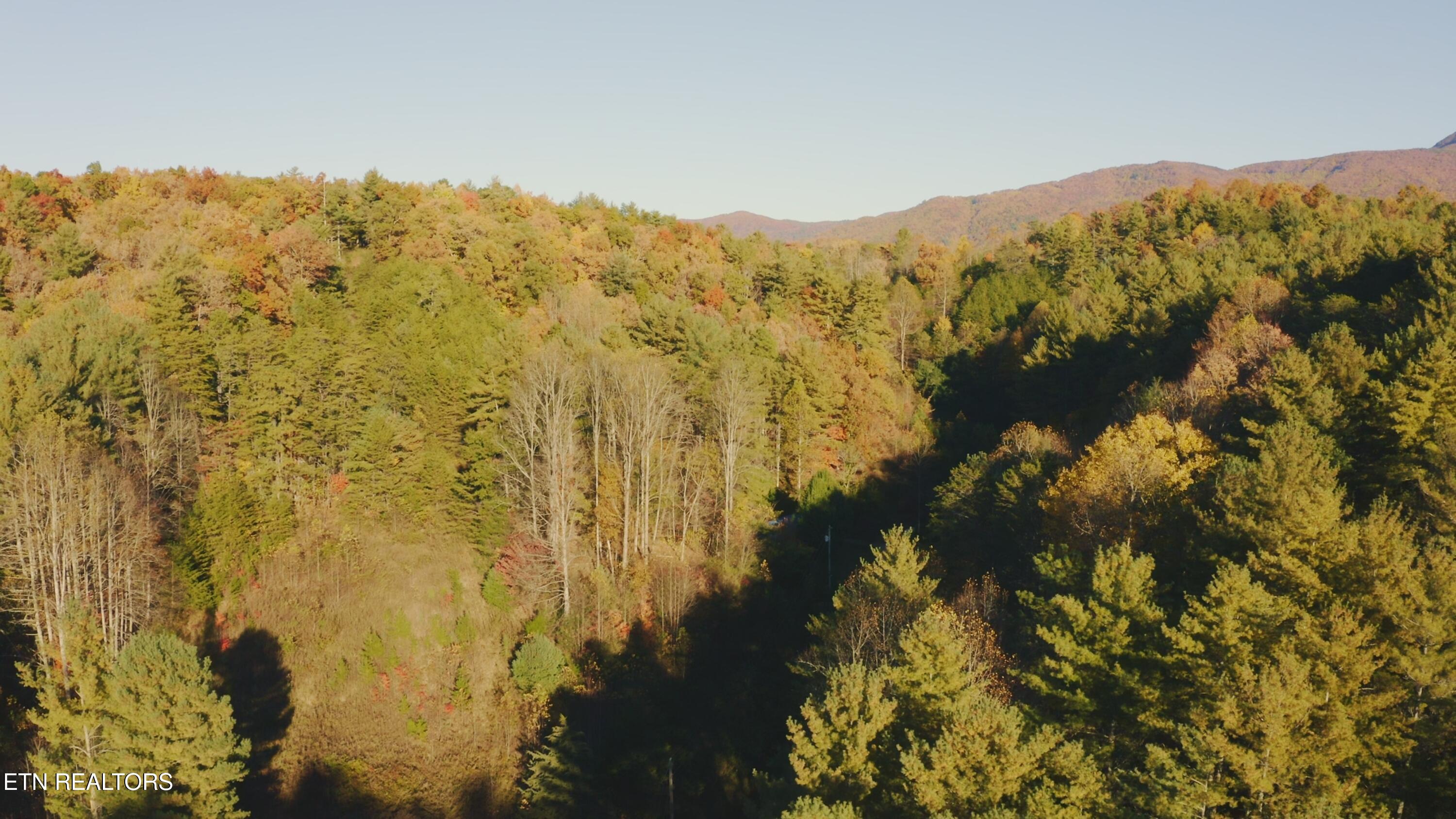 410 Seay Hollow Road Del Rio TN 37727