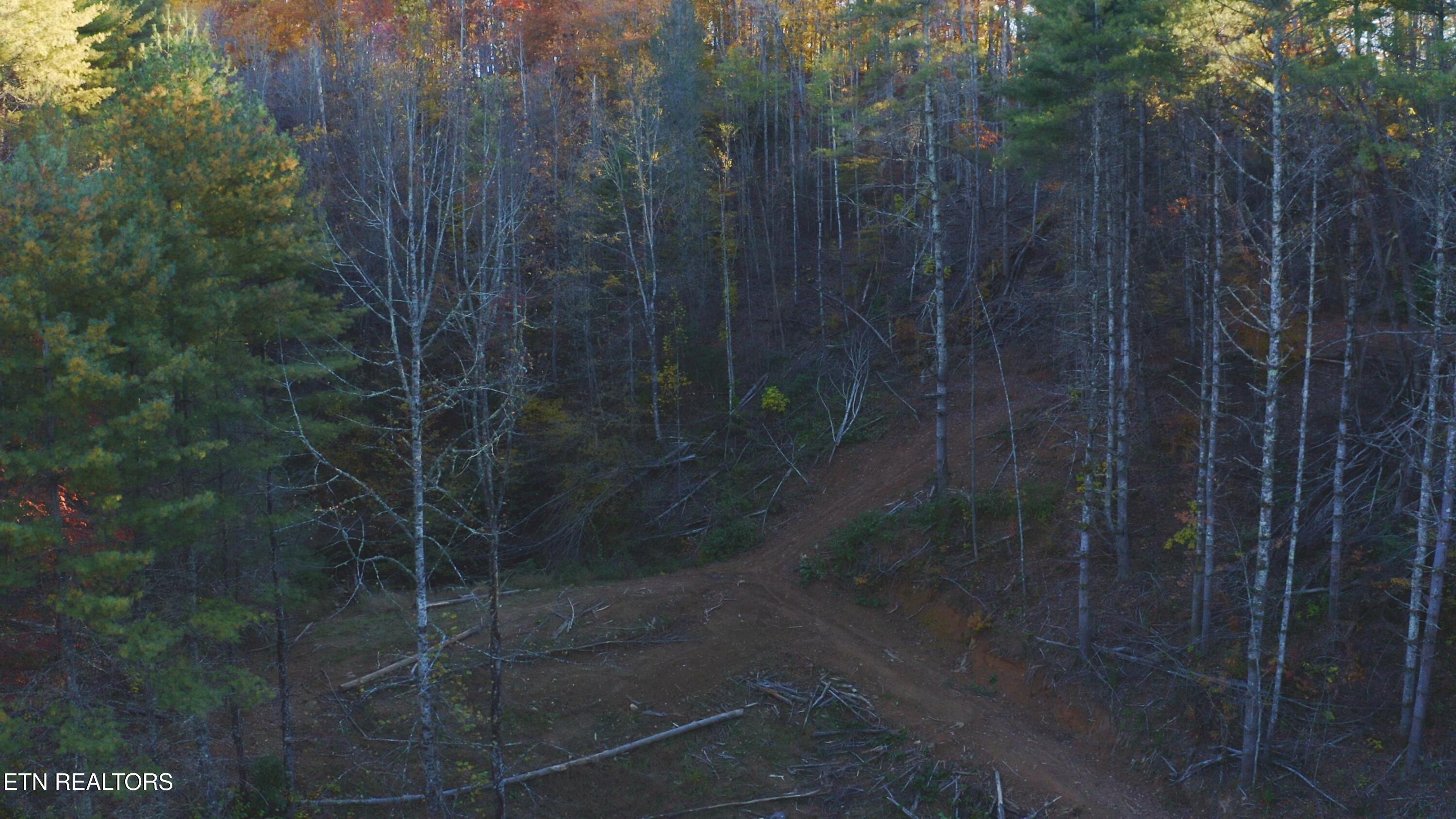 410 Seay Hollow Road Del Rio TN 37727