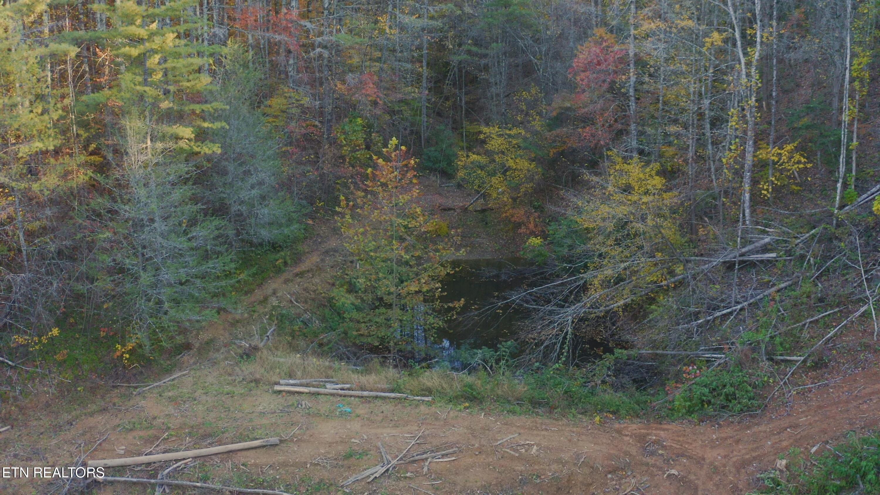 410 Seay Hollow Road Del Rio TN 37727