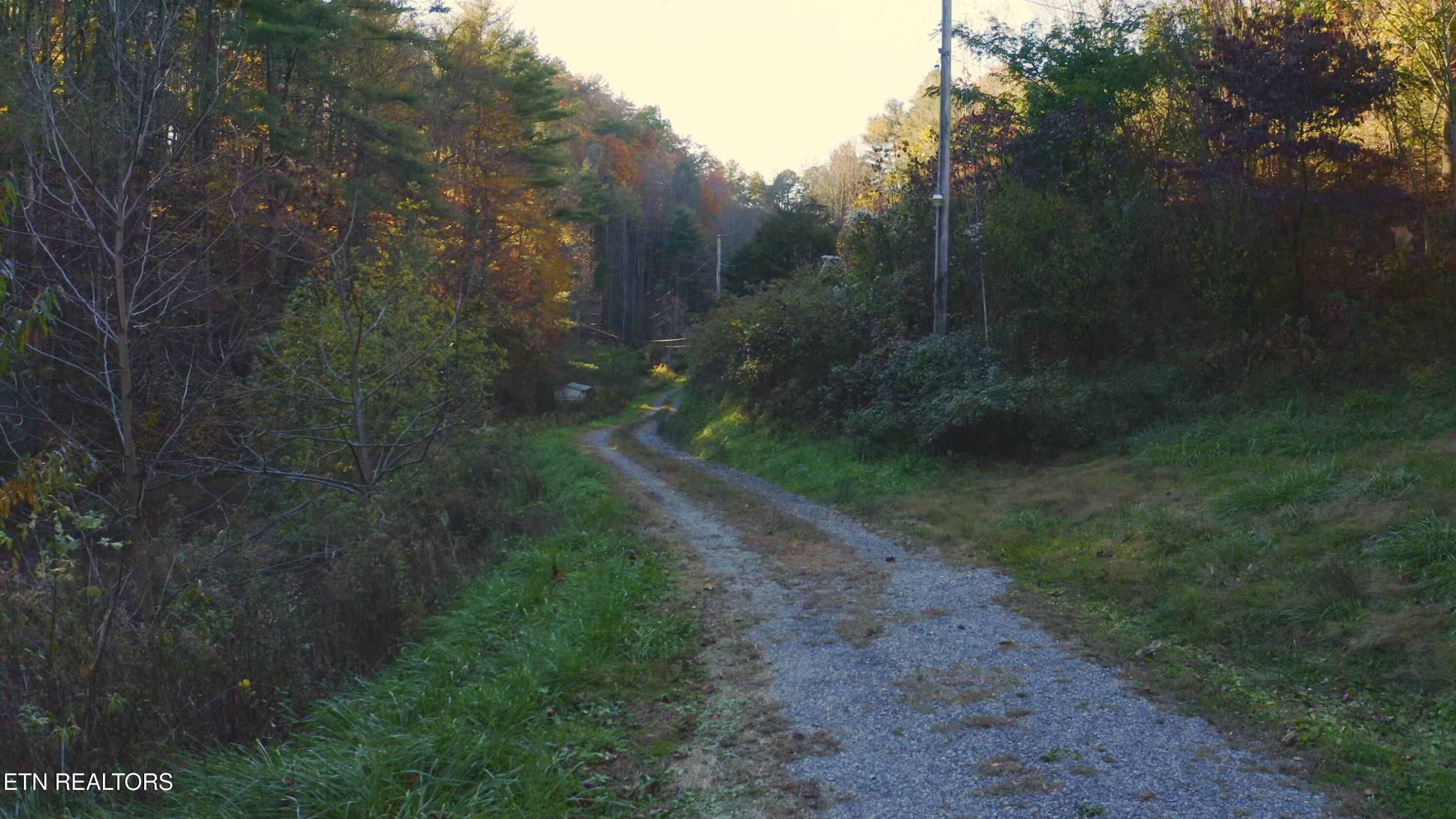 410 Seay Hollow Road Del Rio TN 37727