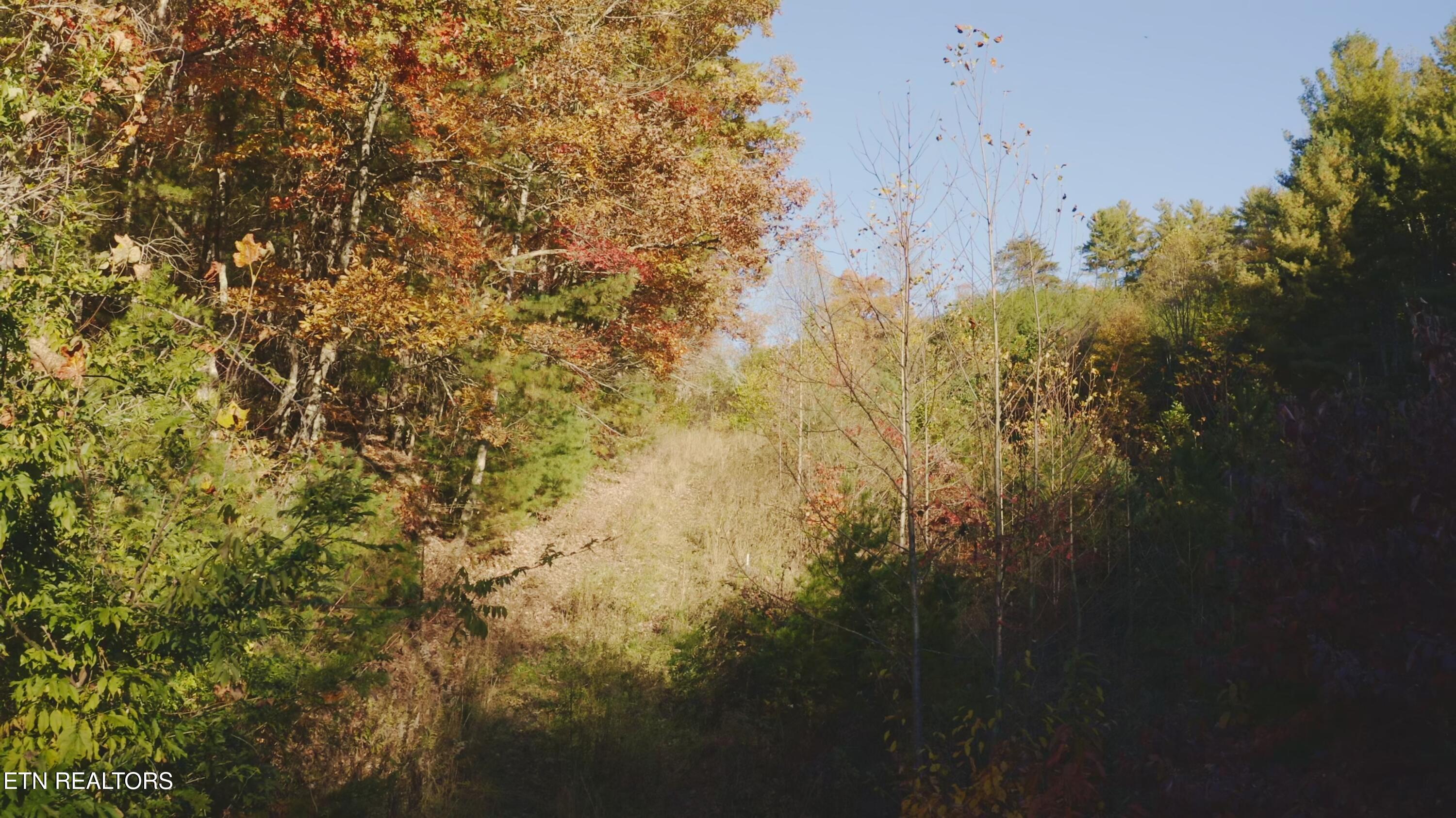 410 Seay Hollow Road Del Rio TN 37727