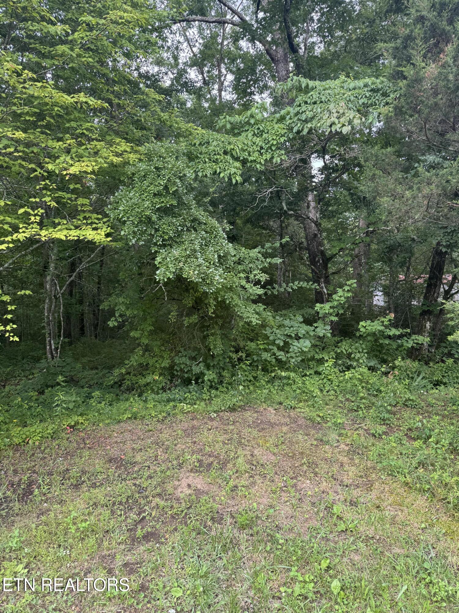 Crossville TN, Timothy Drive