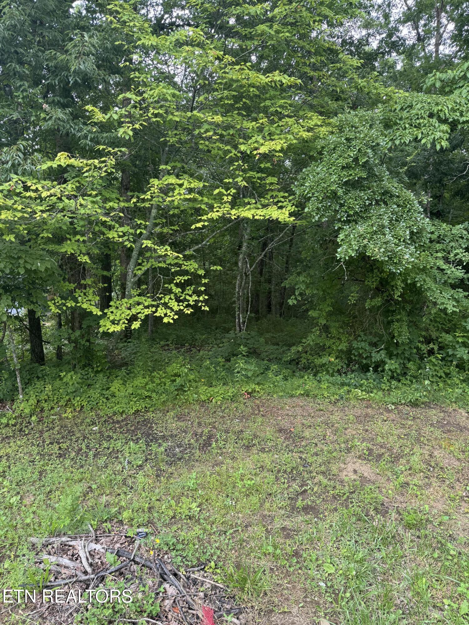 Timothy Drive Crossville TN 38572