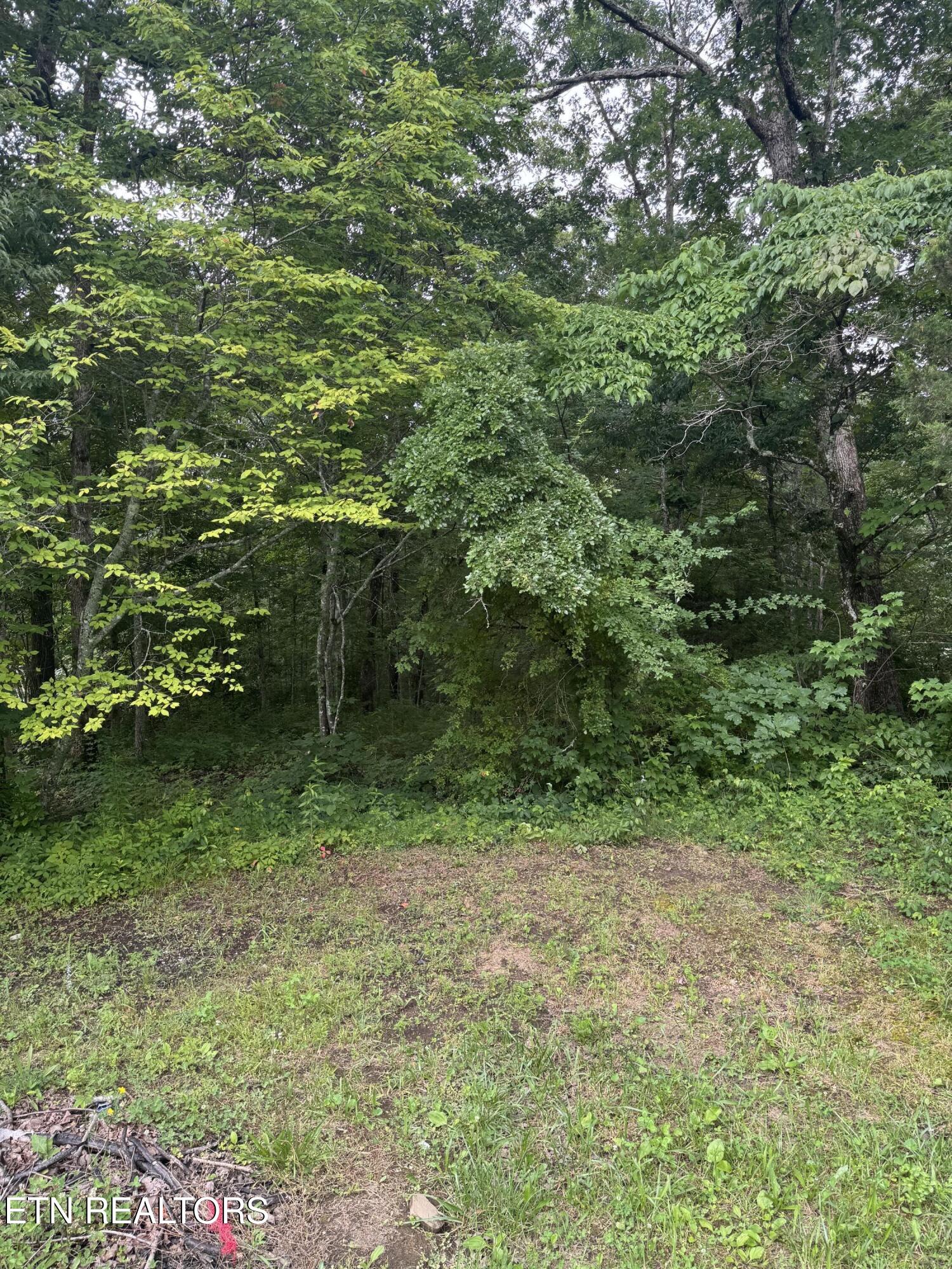 Timothy Drive Crossville TN 38572