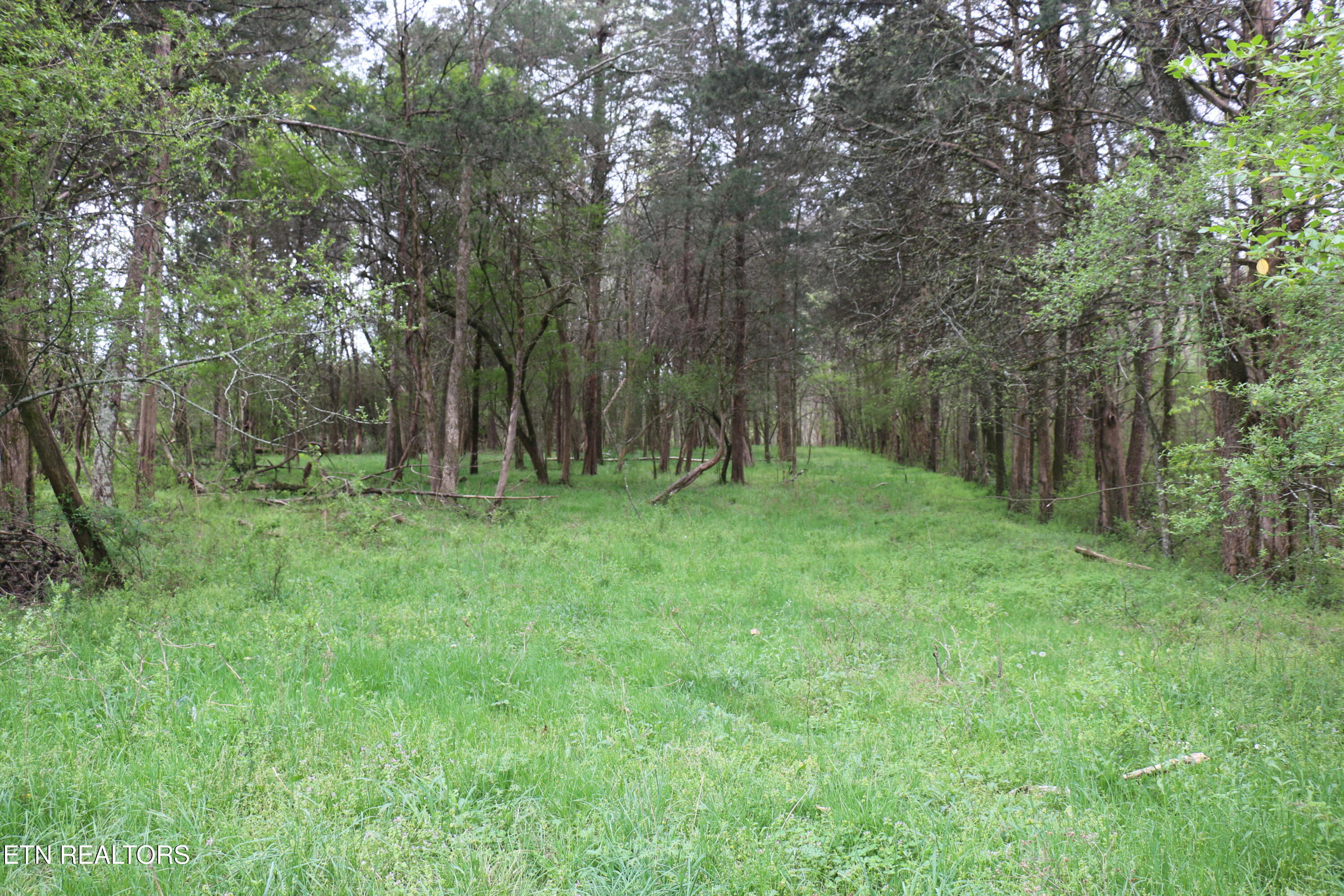 10.62 Acrs Campground Road Madisonville TN 37354