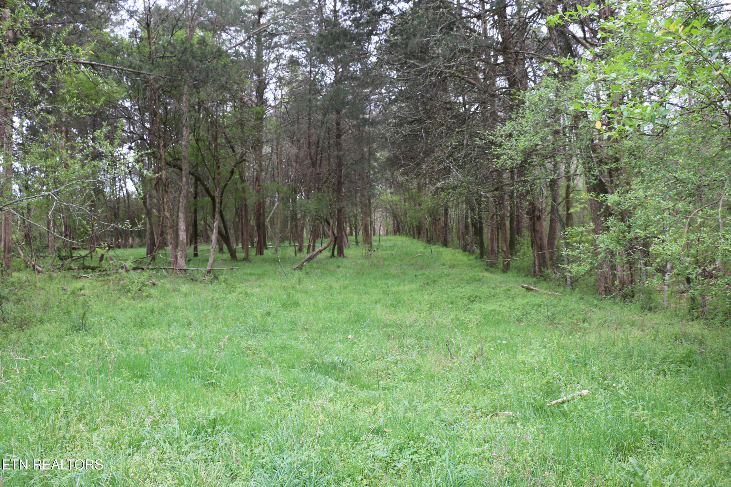 10.62 Acrs Campground Road Madisonville TN 37354