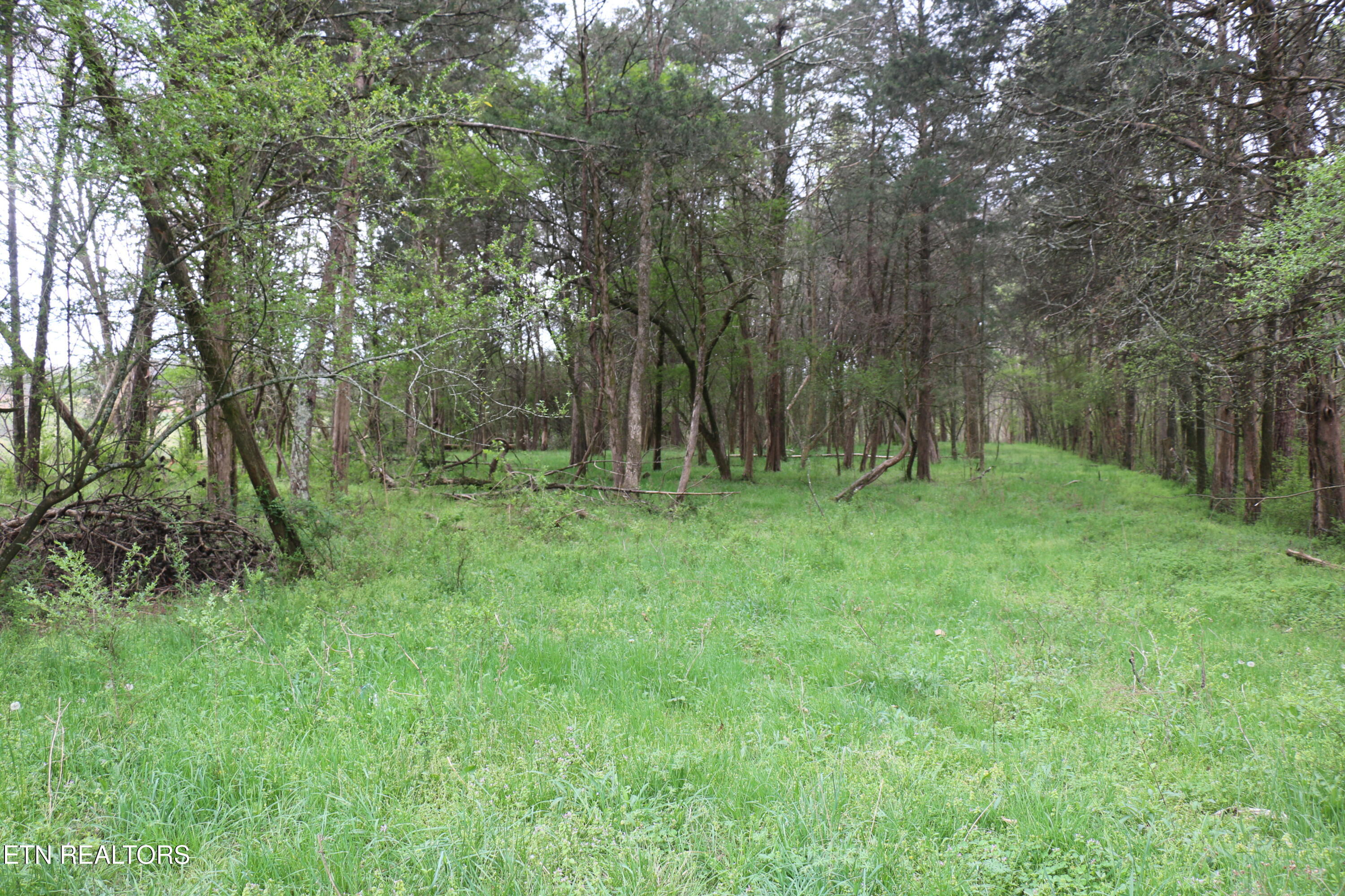 10.62 Acrs Campground Road Madisonville TN 37354