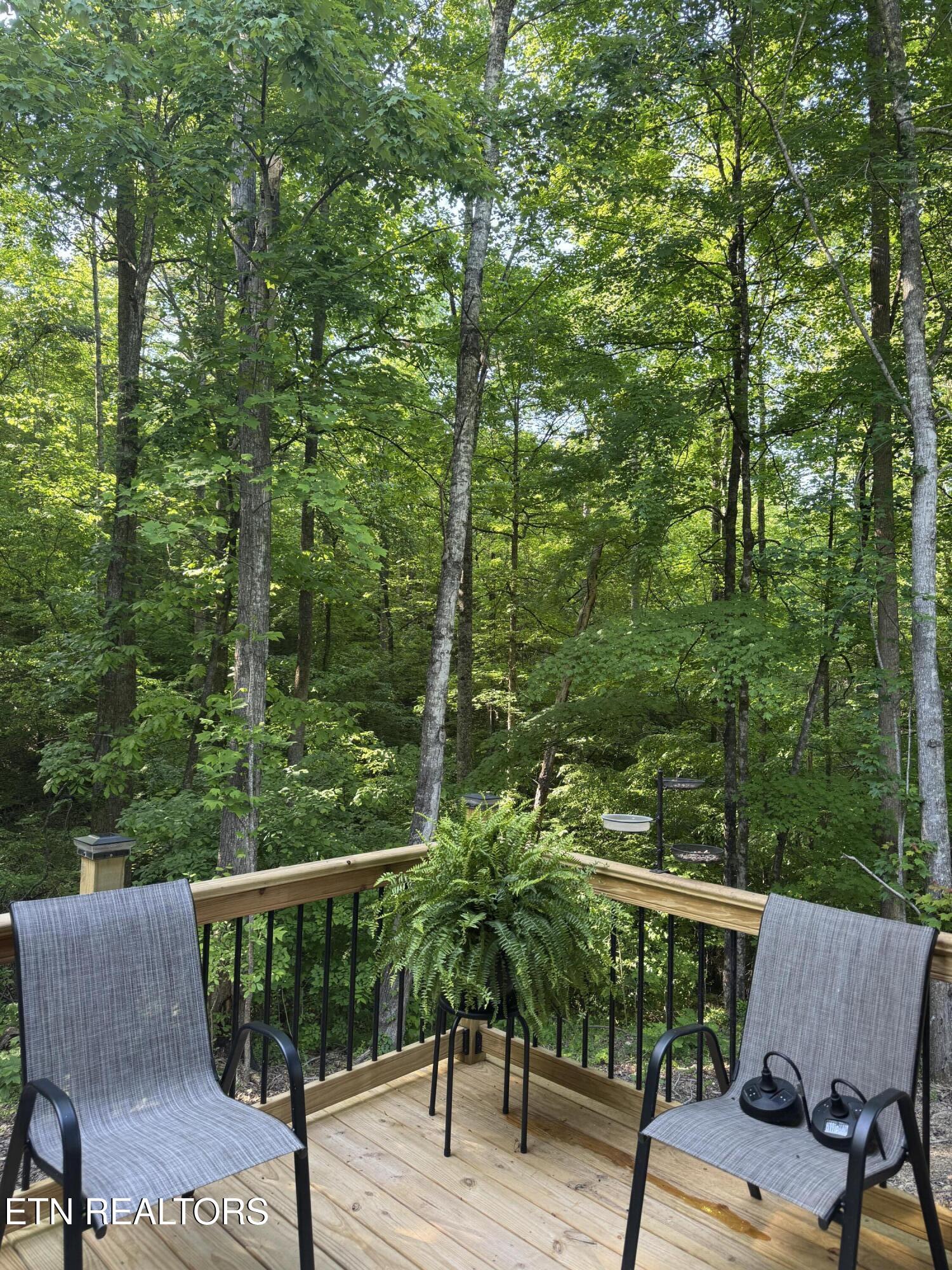 3730 Clayton Way Sevierville TN 37876