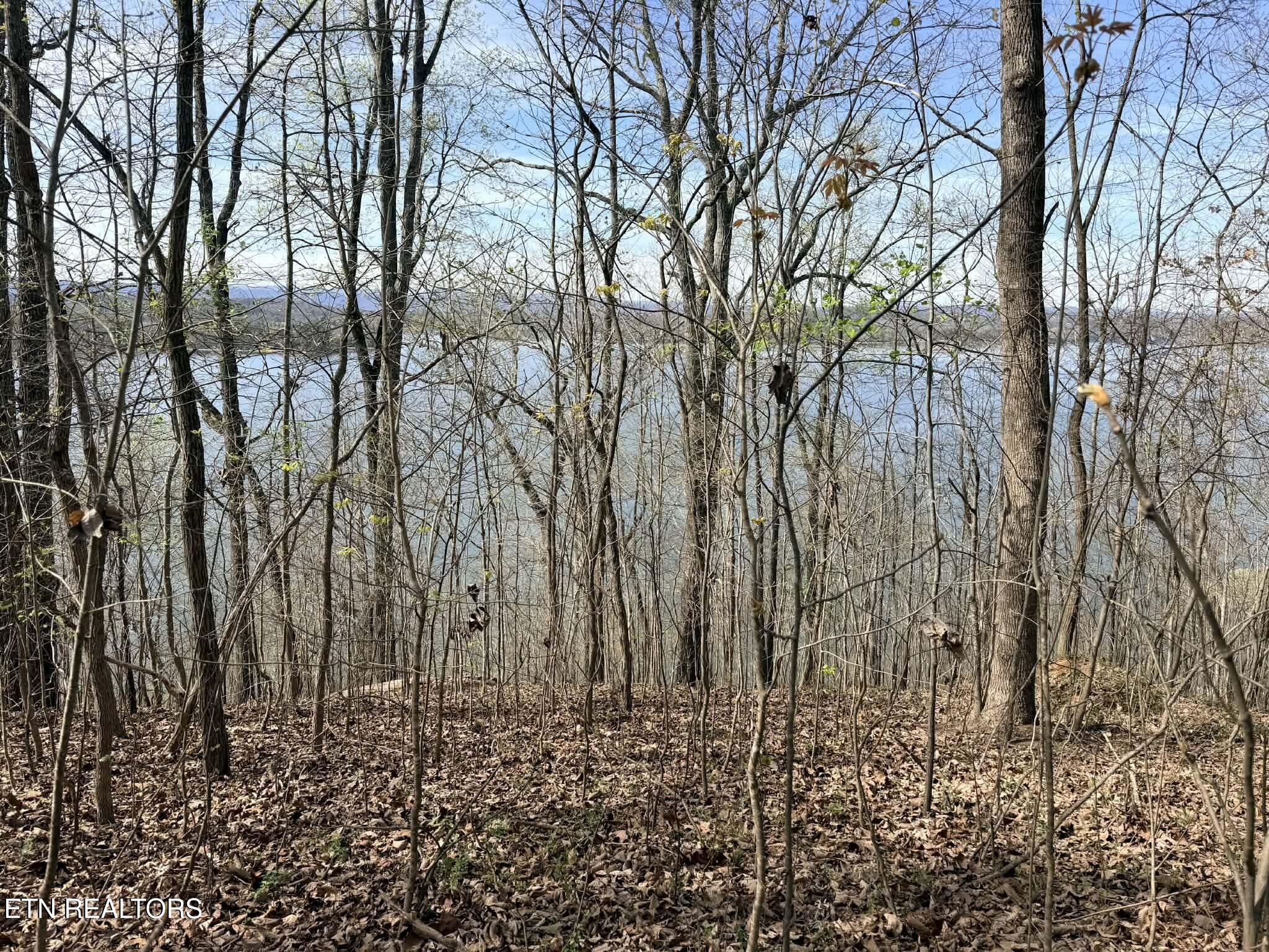 Lot 7 Johnson Lane Ten Mile TN 37880