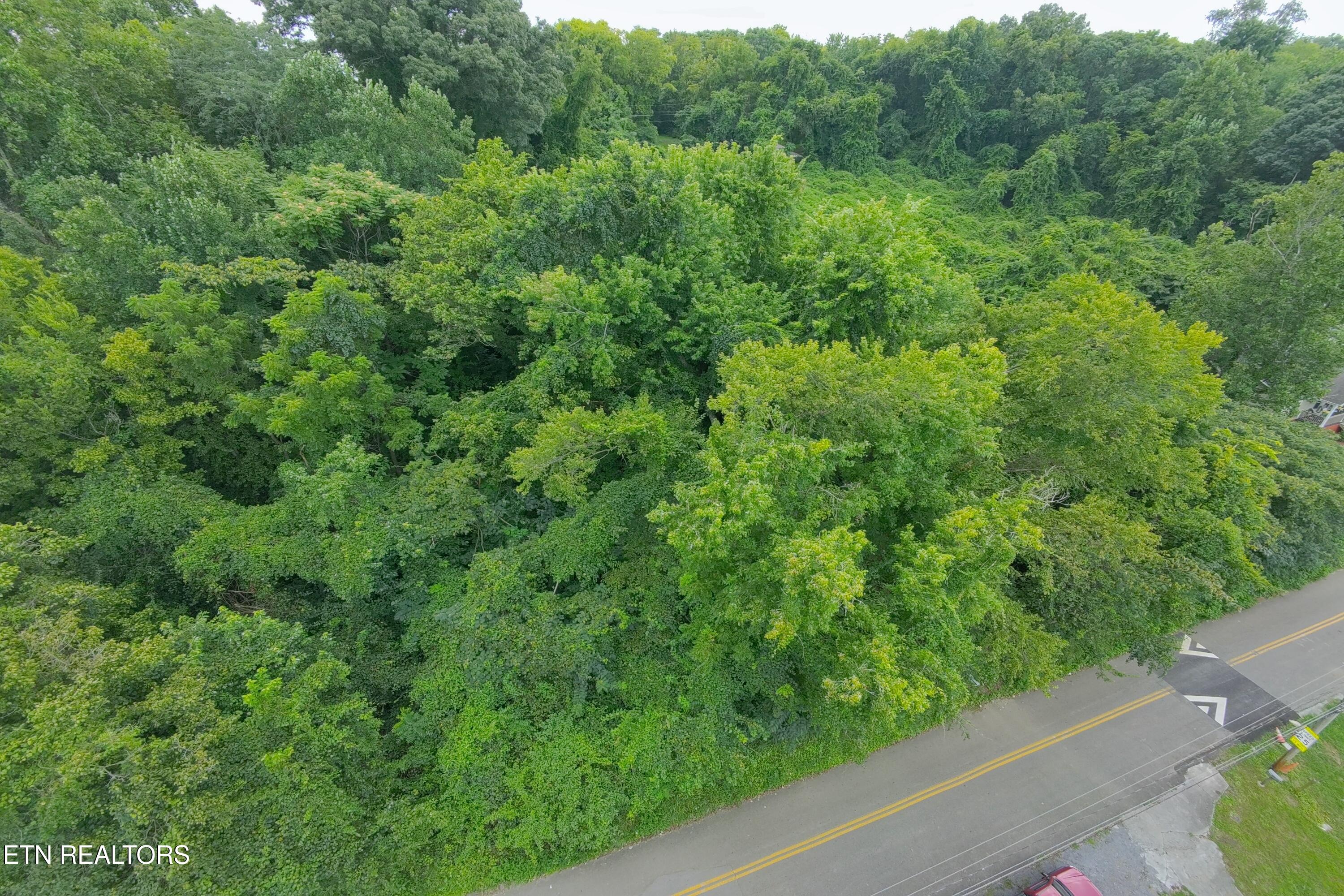 4020 Lilac Avenue Knoxville TN 37914