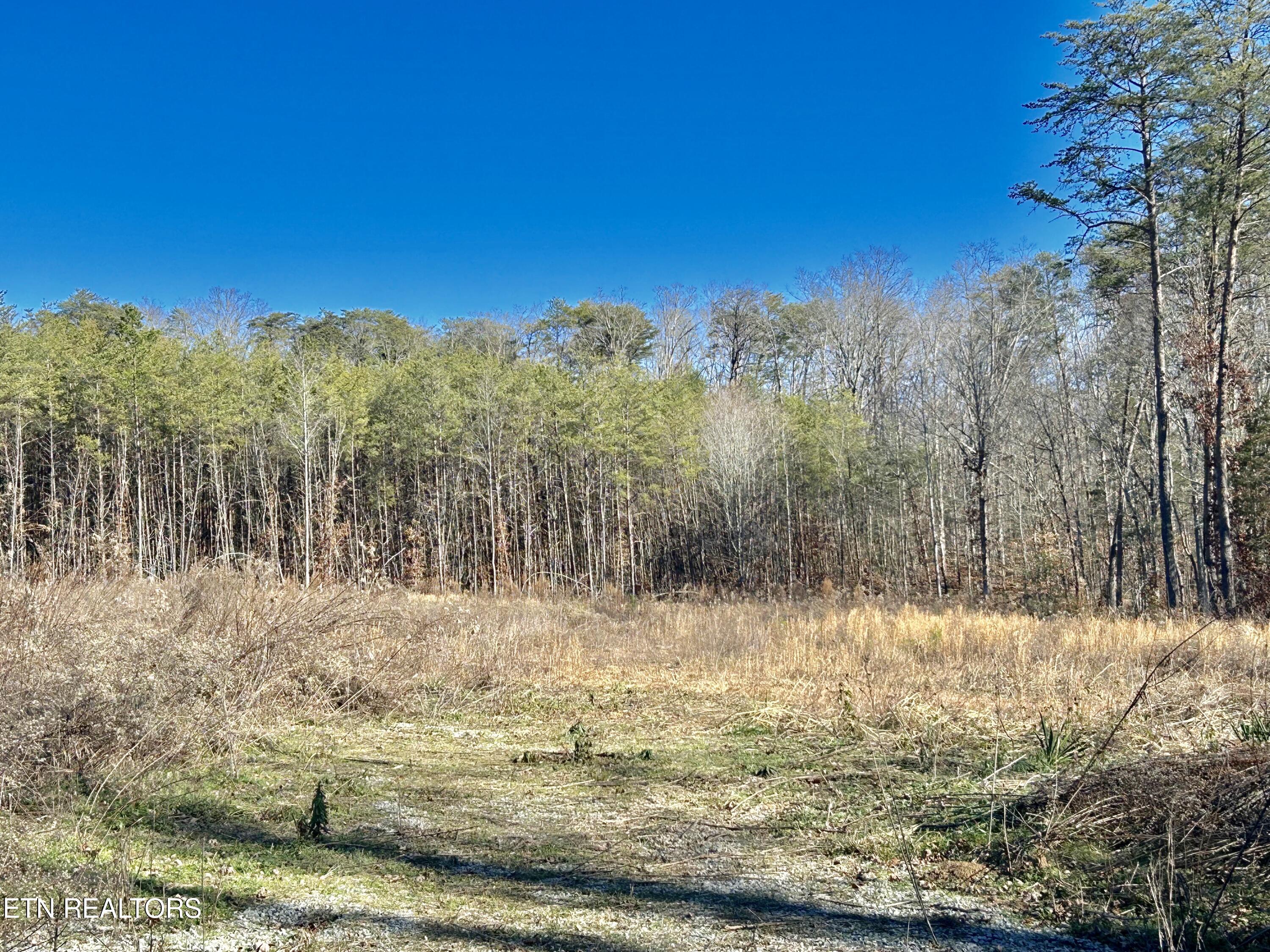 504 Wiggins Road Tellico Plains TN 37385