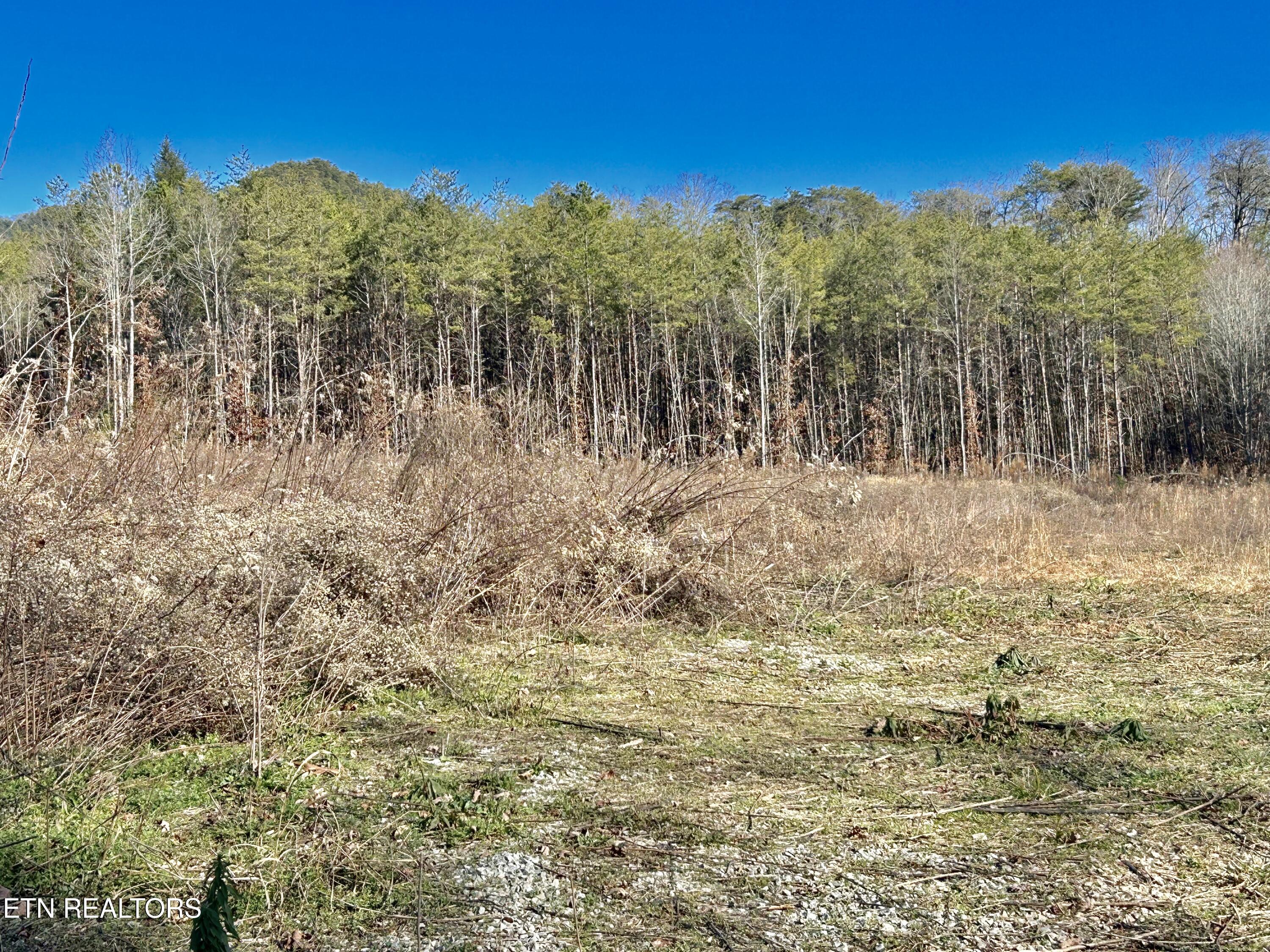 504 Wiggins Road Tellico Plains TN 37385