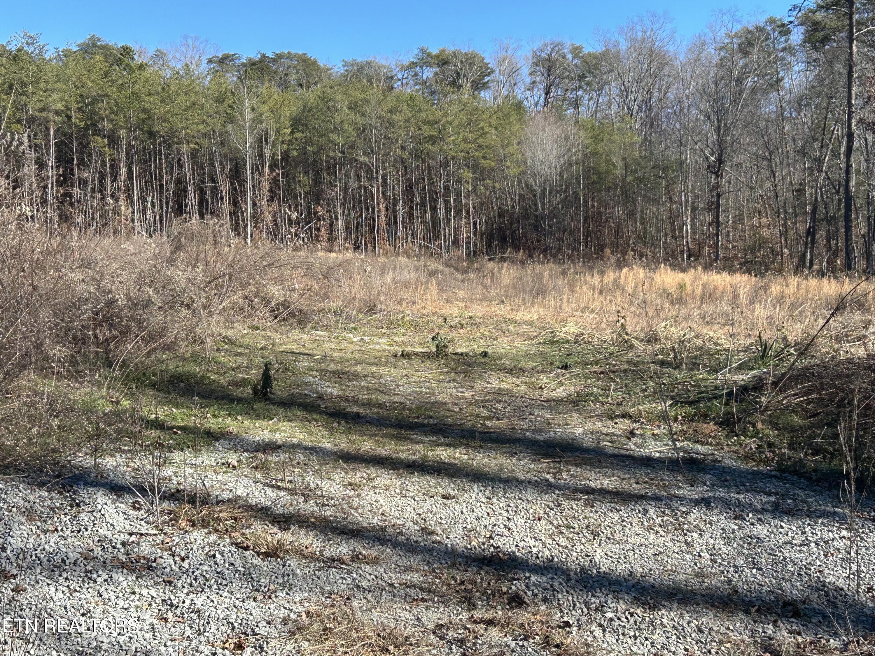 504 Wiggins Road Tellico Plains TN 37385