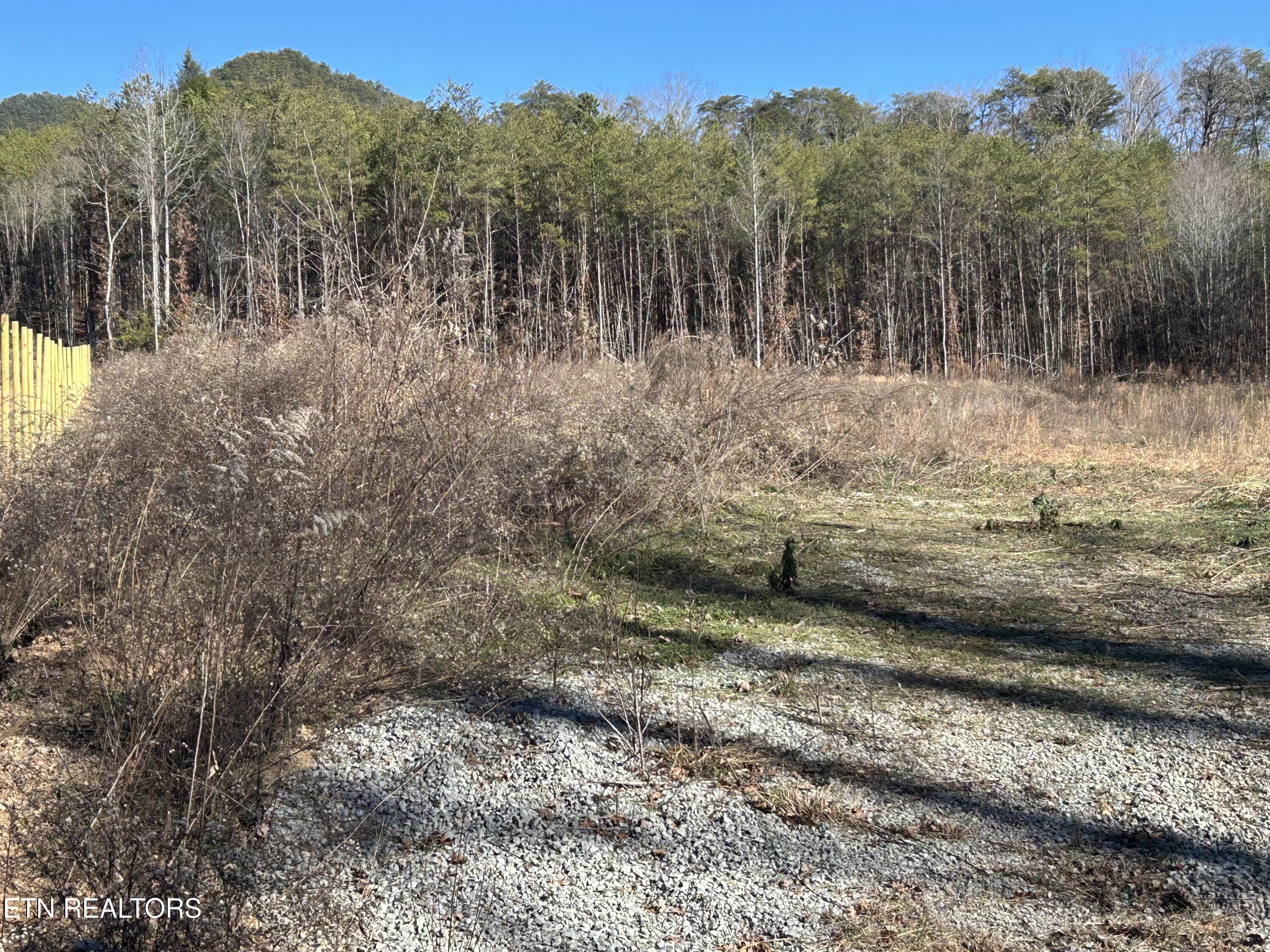504 Wiggins Road Tellico Plains TN 37385