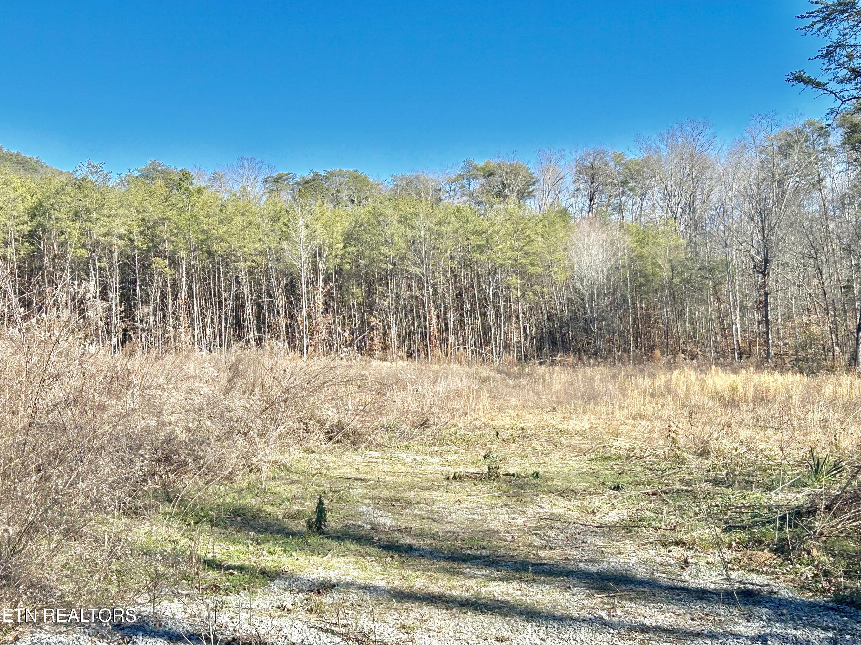504 Wiggins Road Tellico Plains TN 37385