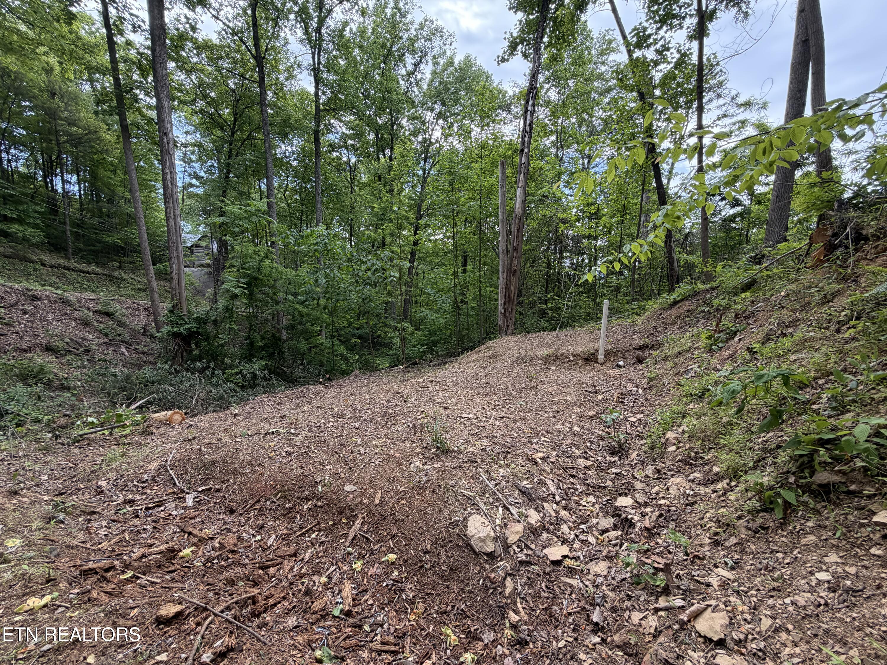807 Old New Ground Road Gatlinburg TN 37738
