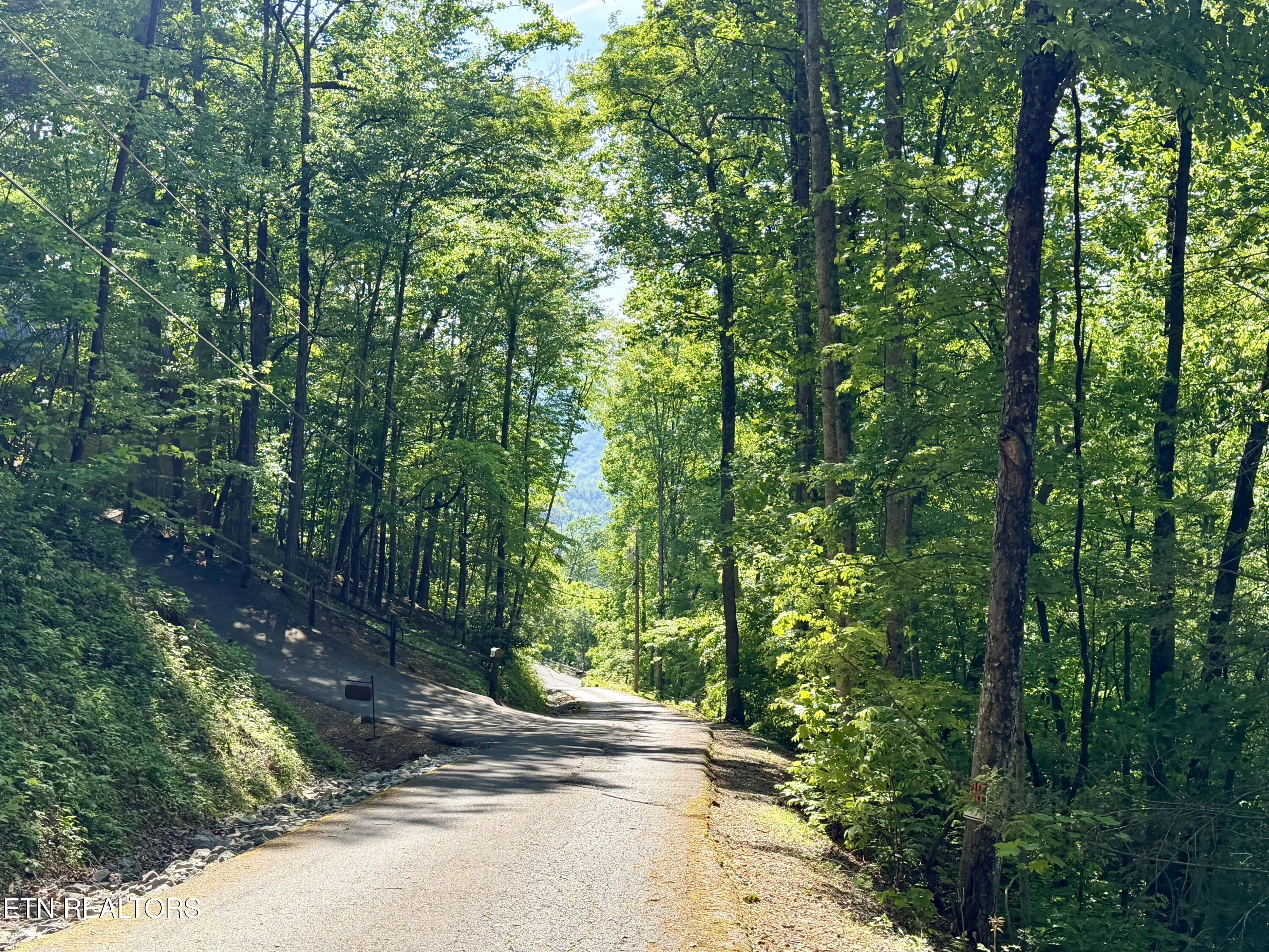 807 Old New Ground Road Gatlinburg TN 37738