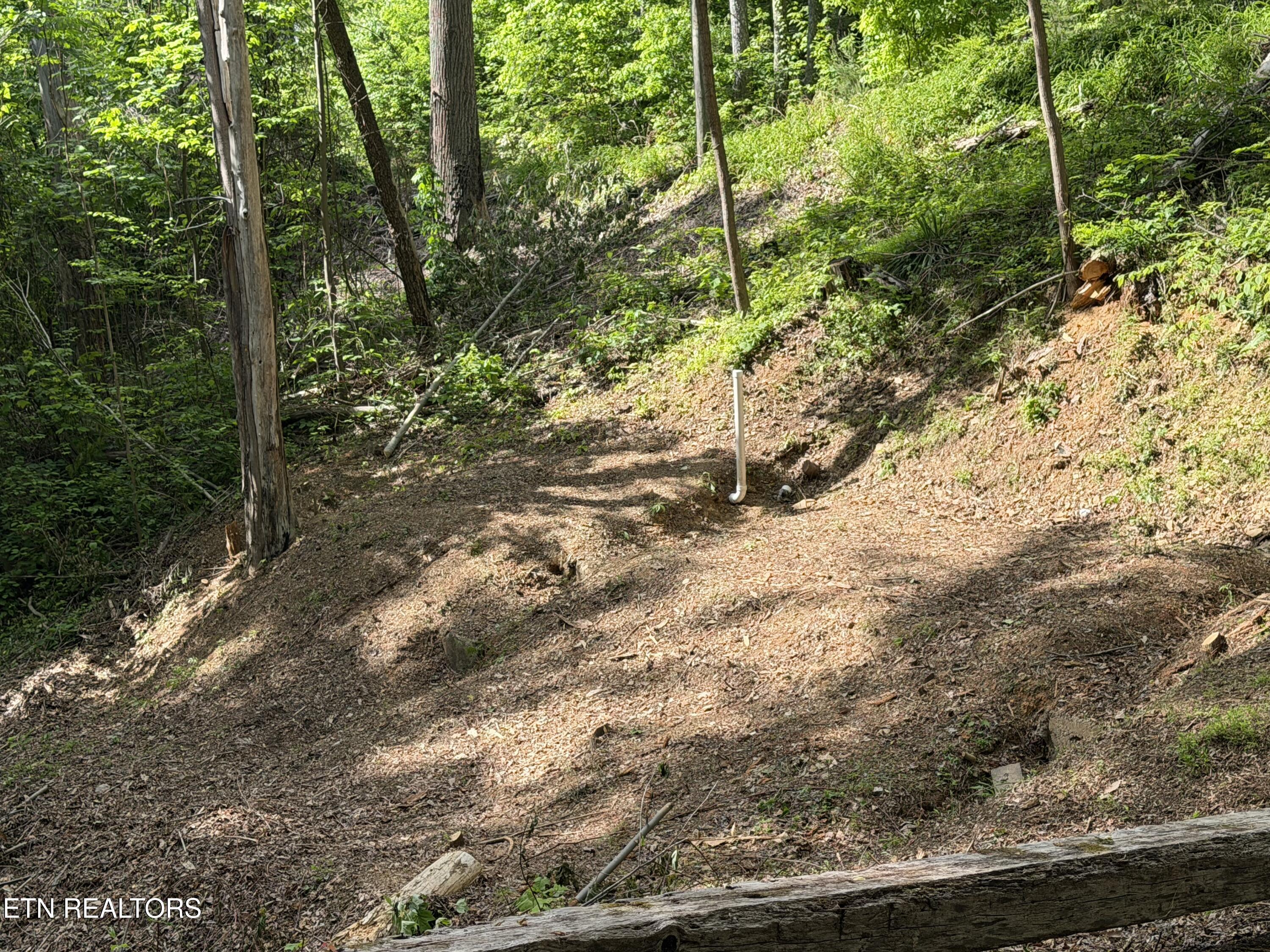 807 Old New Ground Road Gatlinburg TN 37738