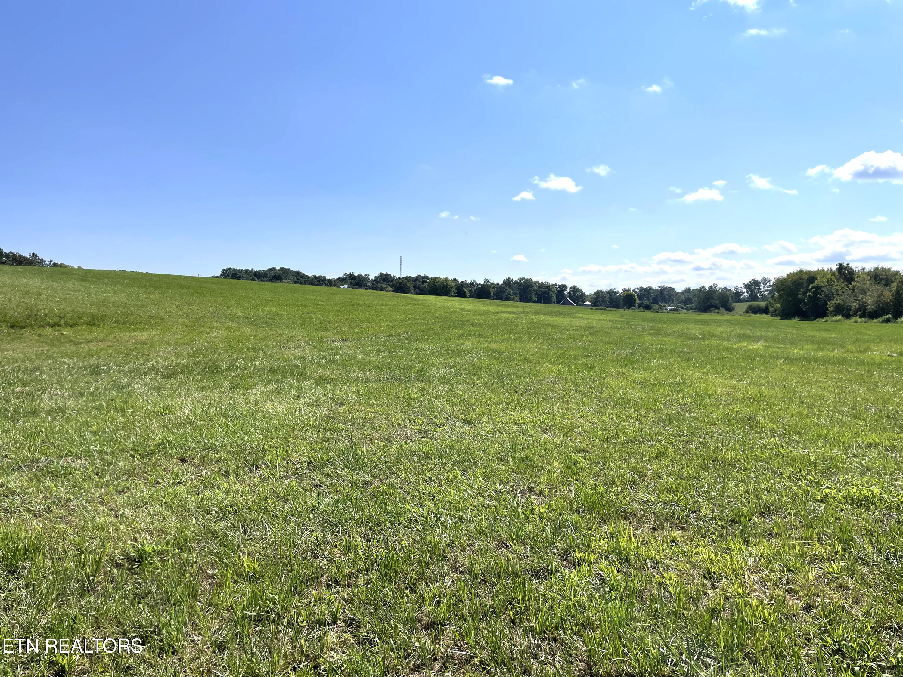2205 Flatwoods Road Mosheim TN 37818