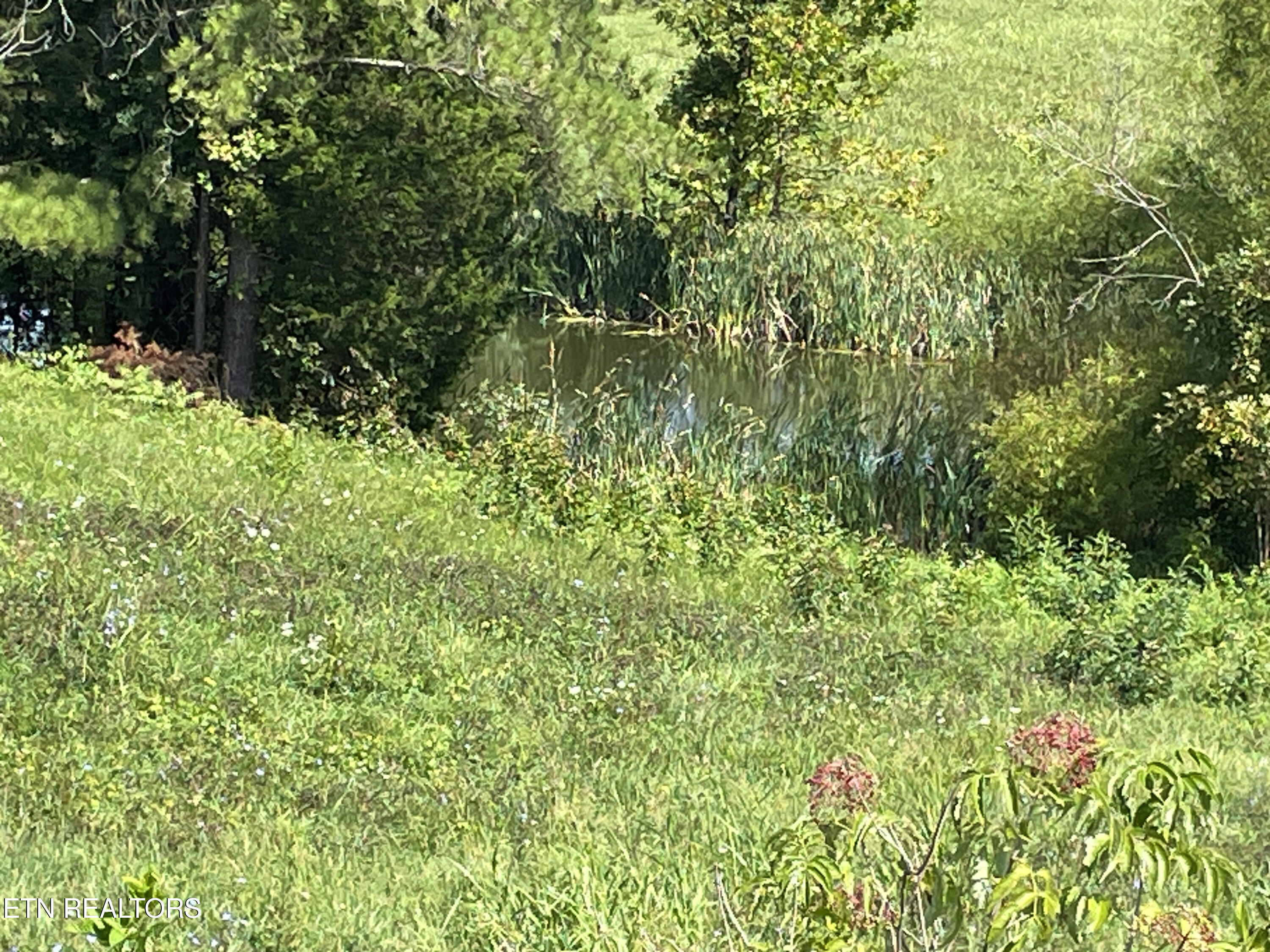 2205 Flatwoods Road Mosheim TN 37818