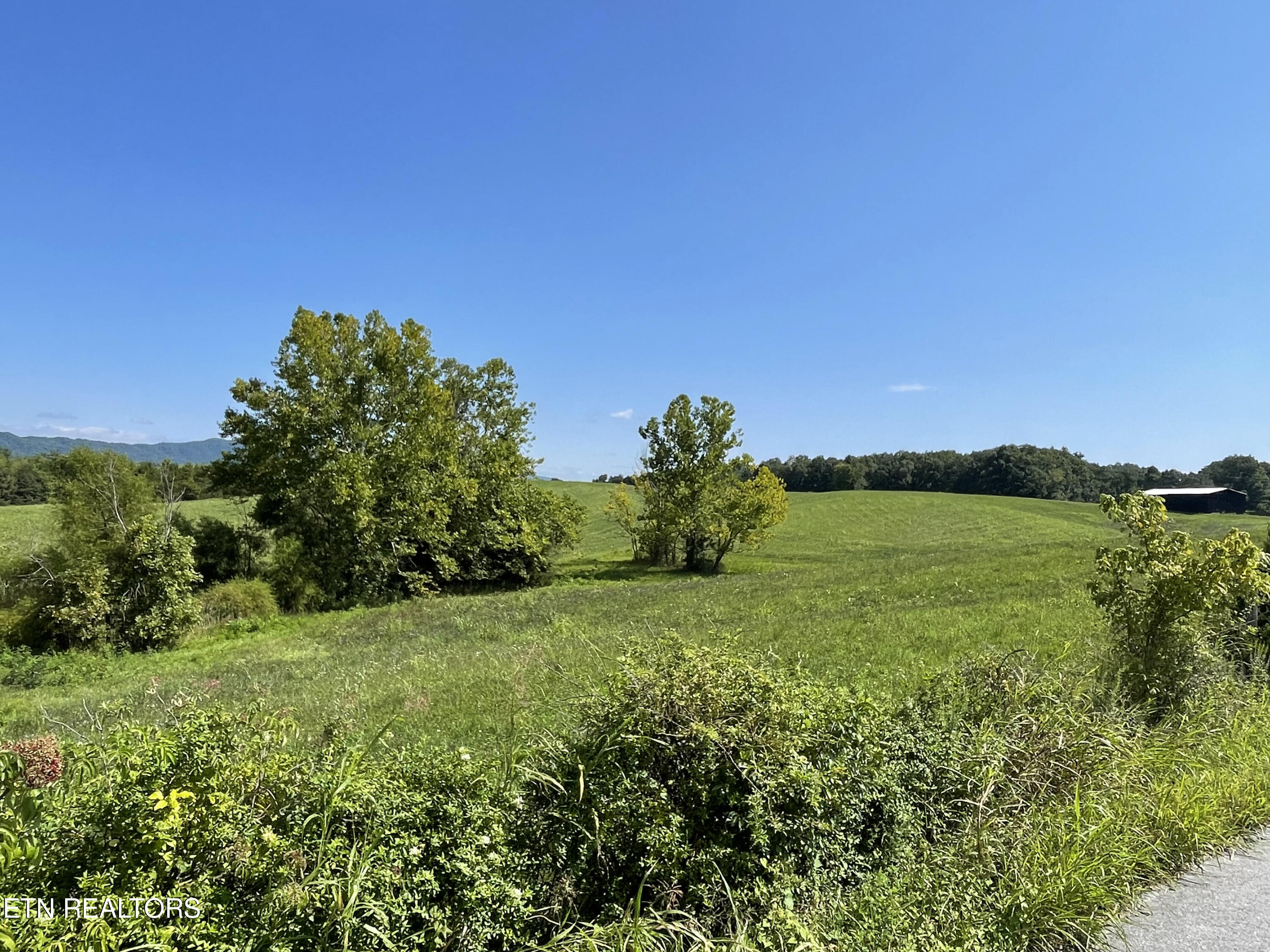 2205 Flatwoods Road Mosheim TN 37818