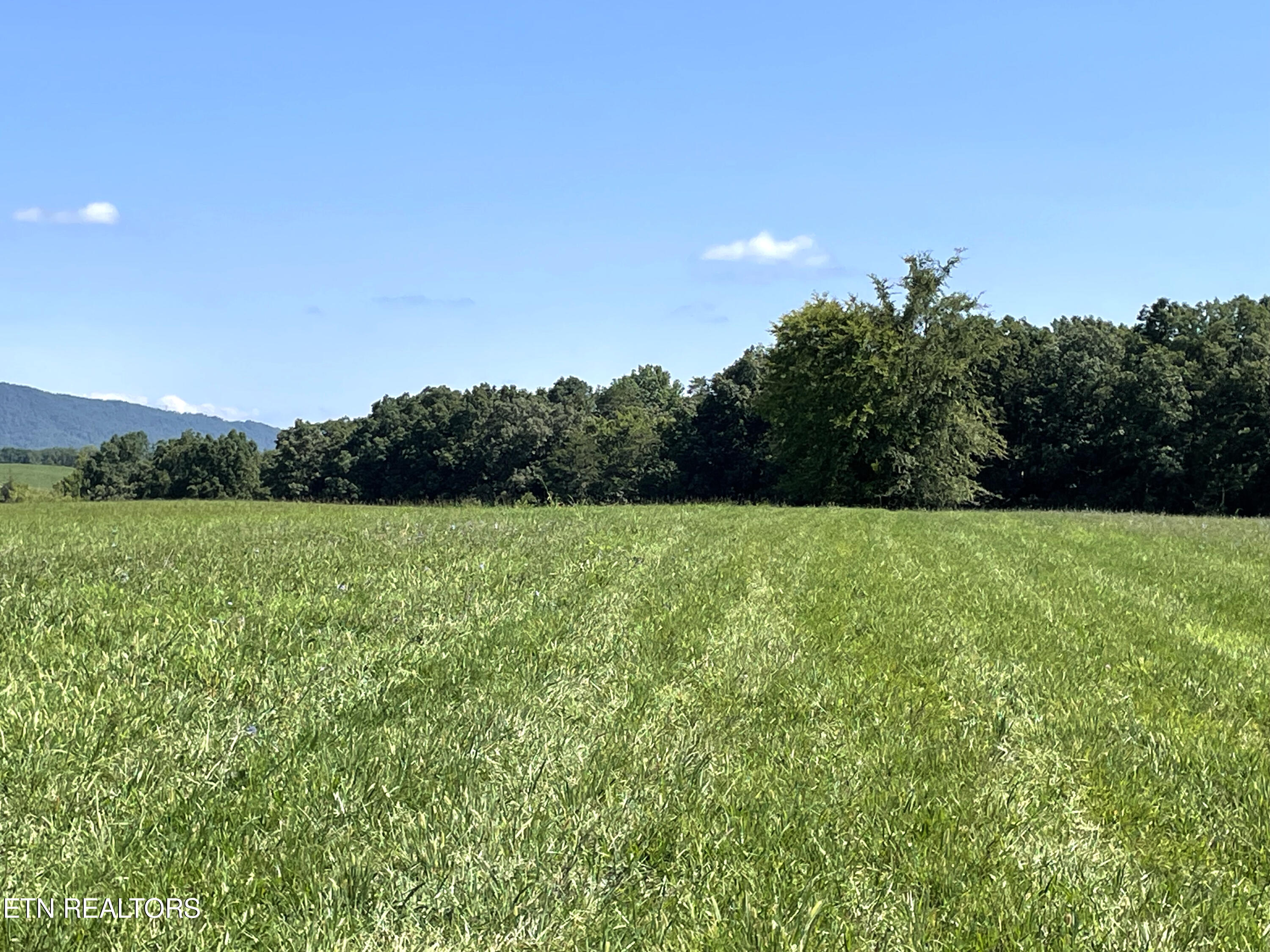 2205 Flatwoods Road Mosheim TN 37818