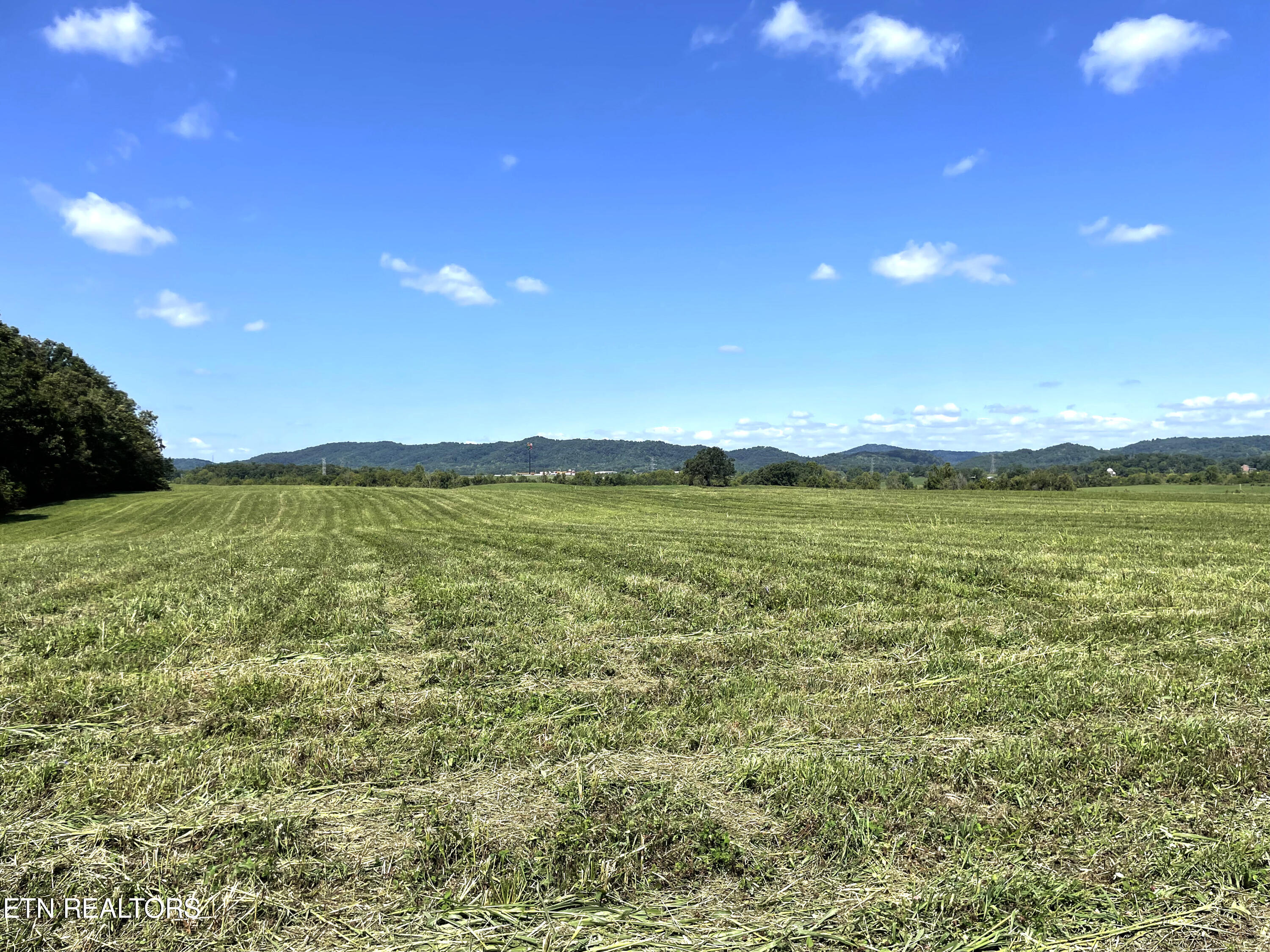 2205 Flatwoods Road Mosheim TN 37818